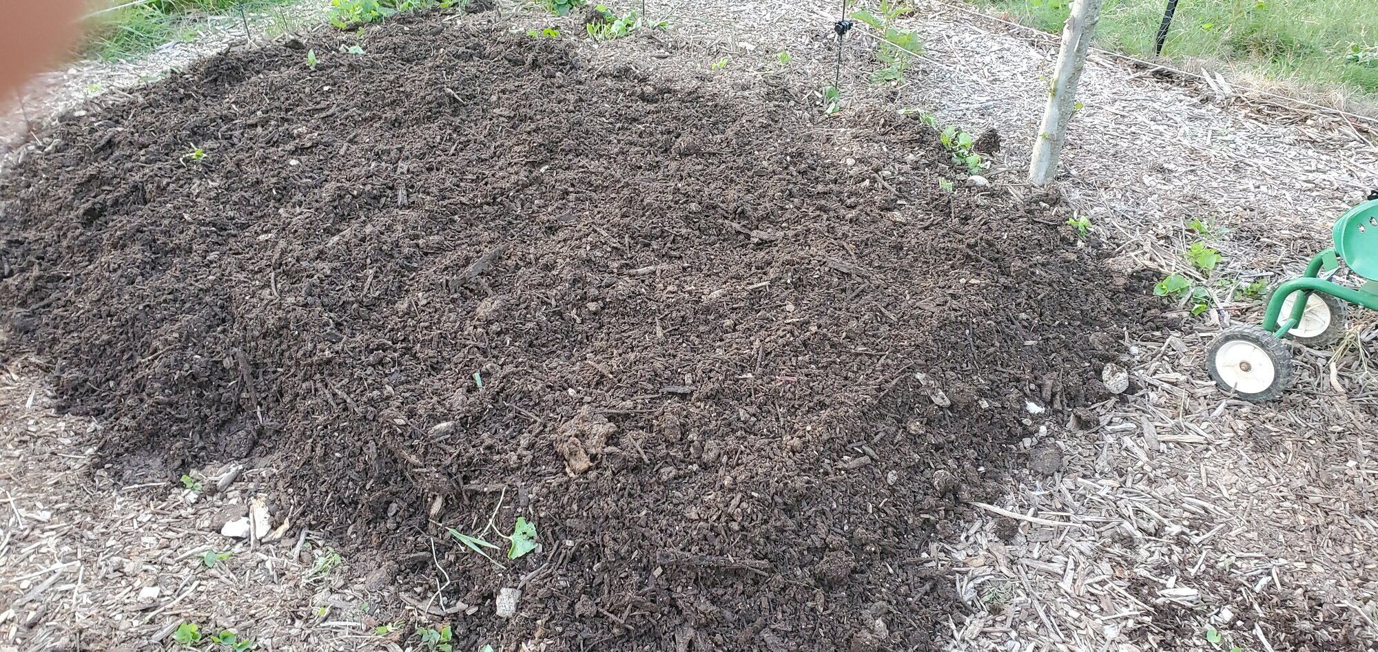 Mont noir is flattened and ready for planting squash and cantaloupe