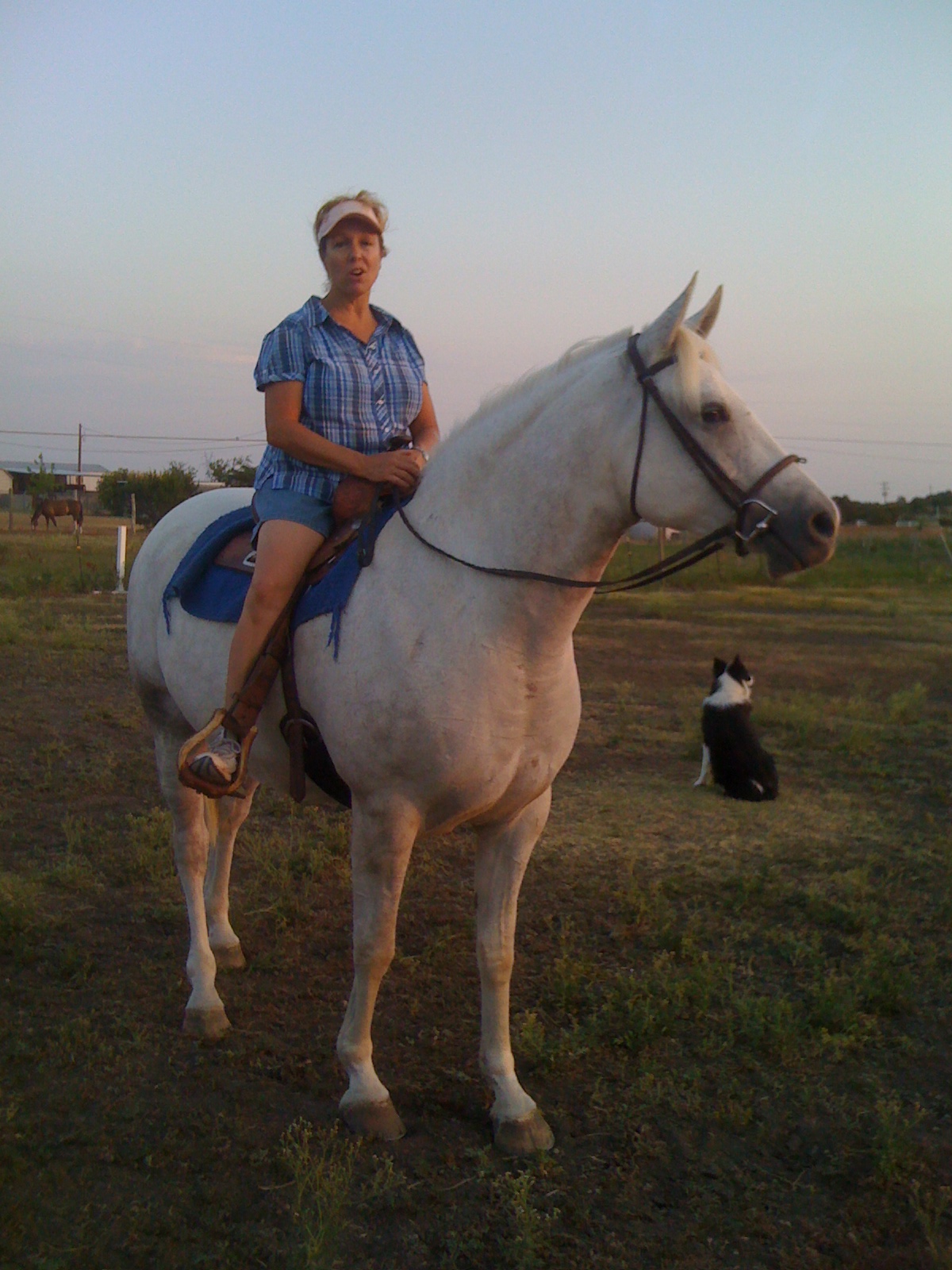 Morab gelding RaffDakk and trainer Hollie