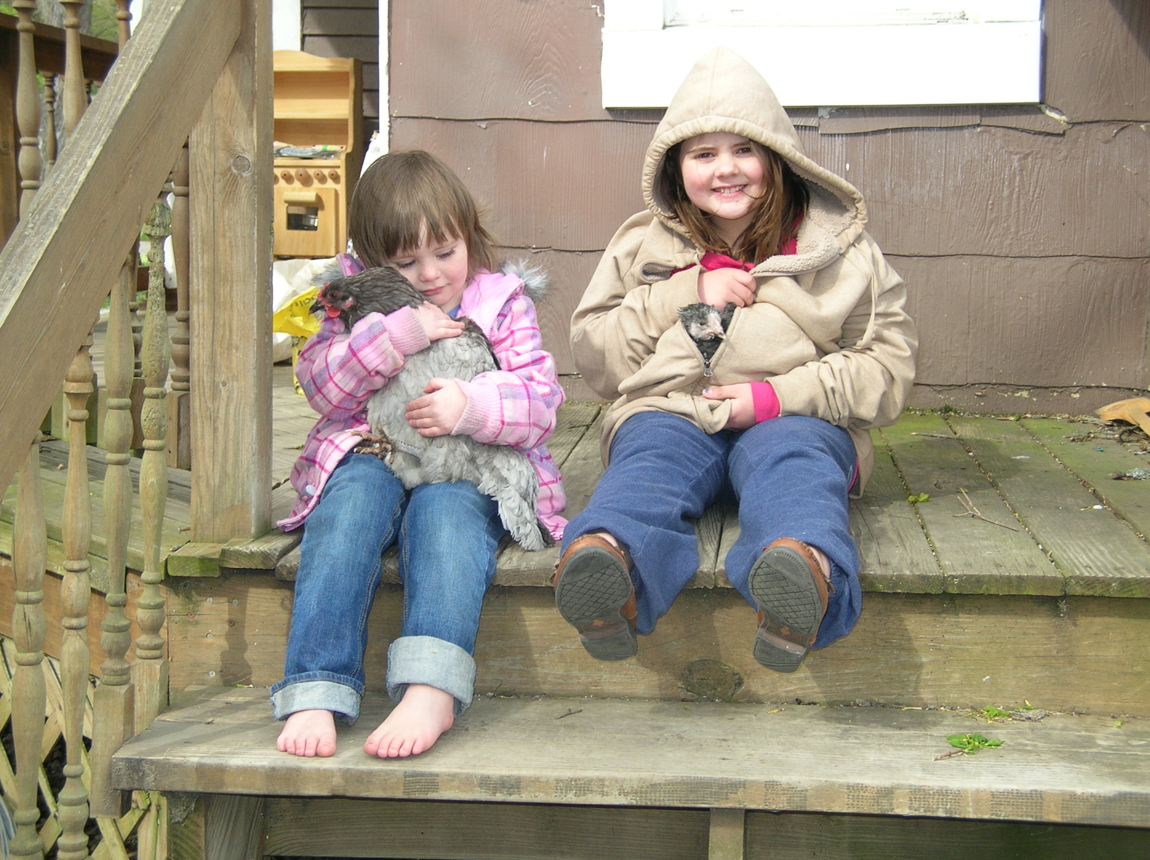 More chickie snuggles!