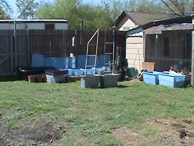 More container gardening.