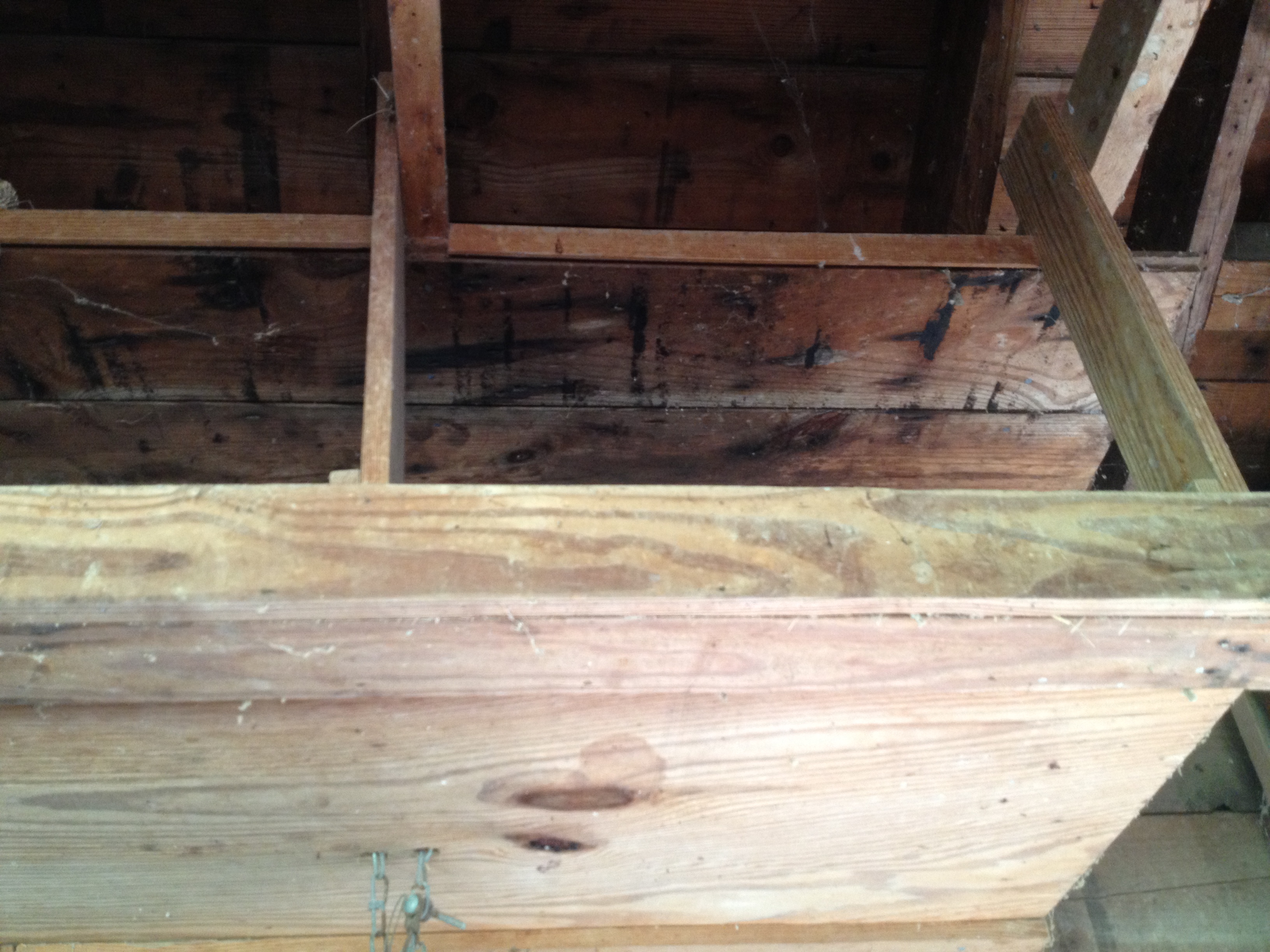 More elevated nesting area.