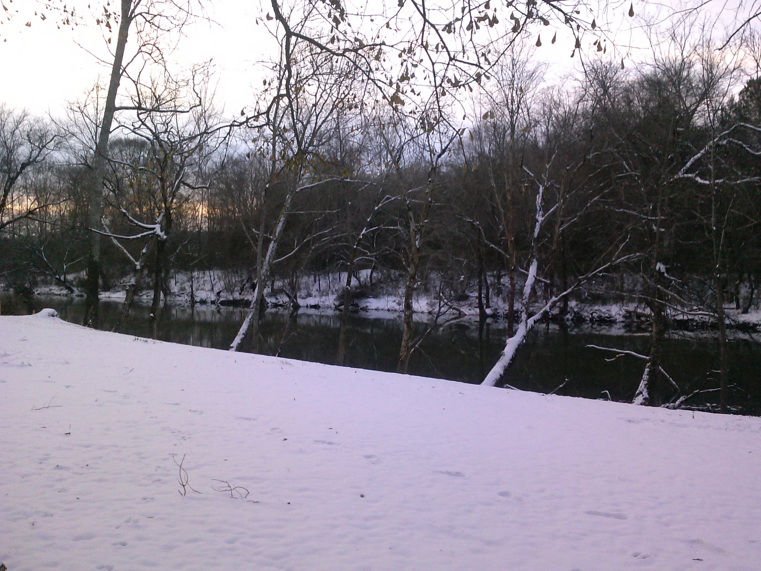 More from the January 14 snow storm.