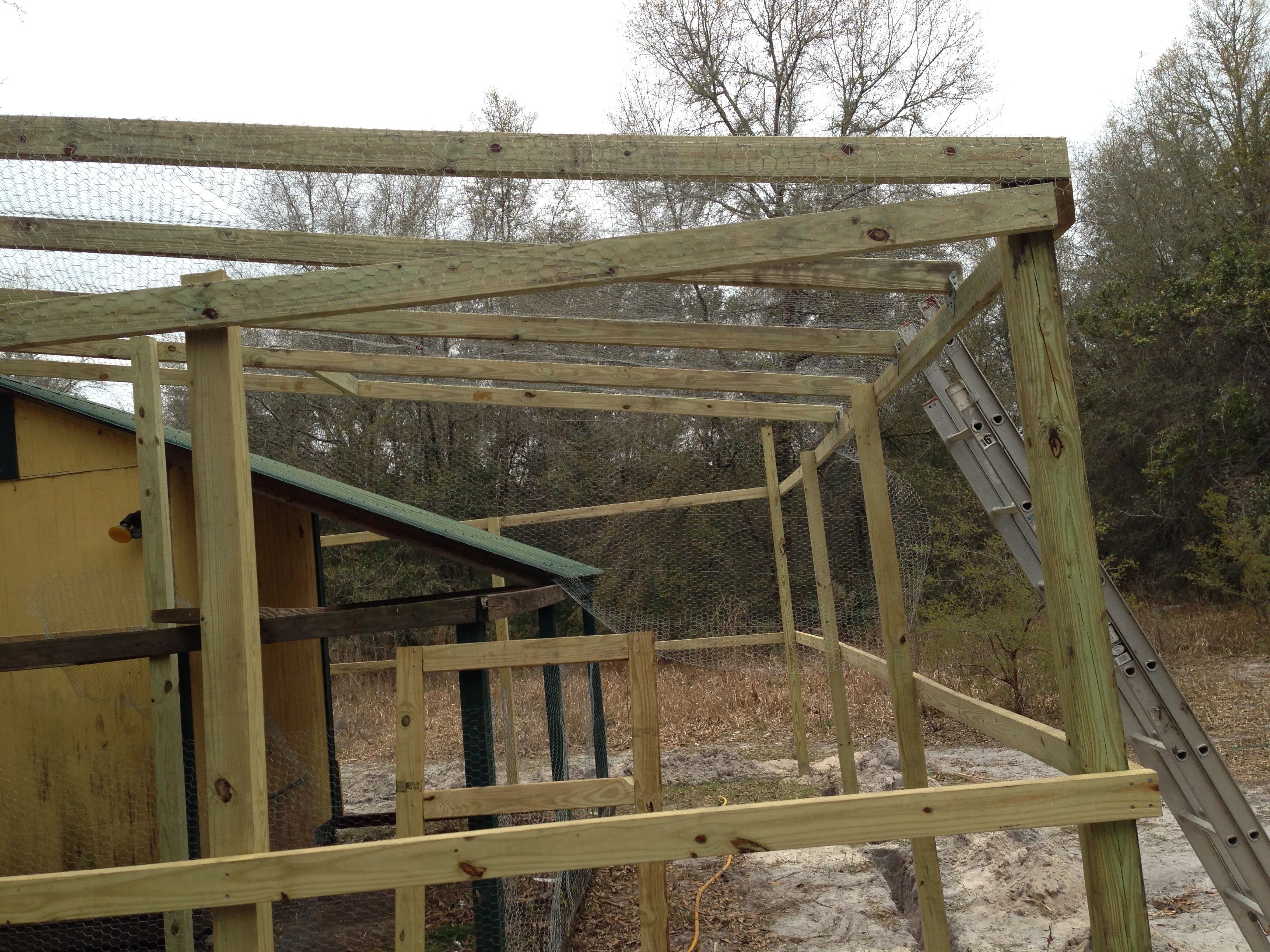 More guinea fly zone.  Two 4x4's were placed in the center area to attach bamboo perches.  The guineas will be able to see most of the yard from on high.