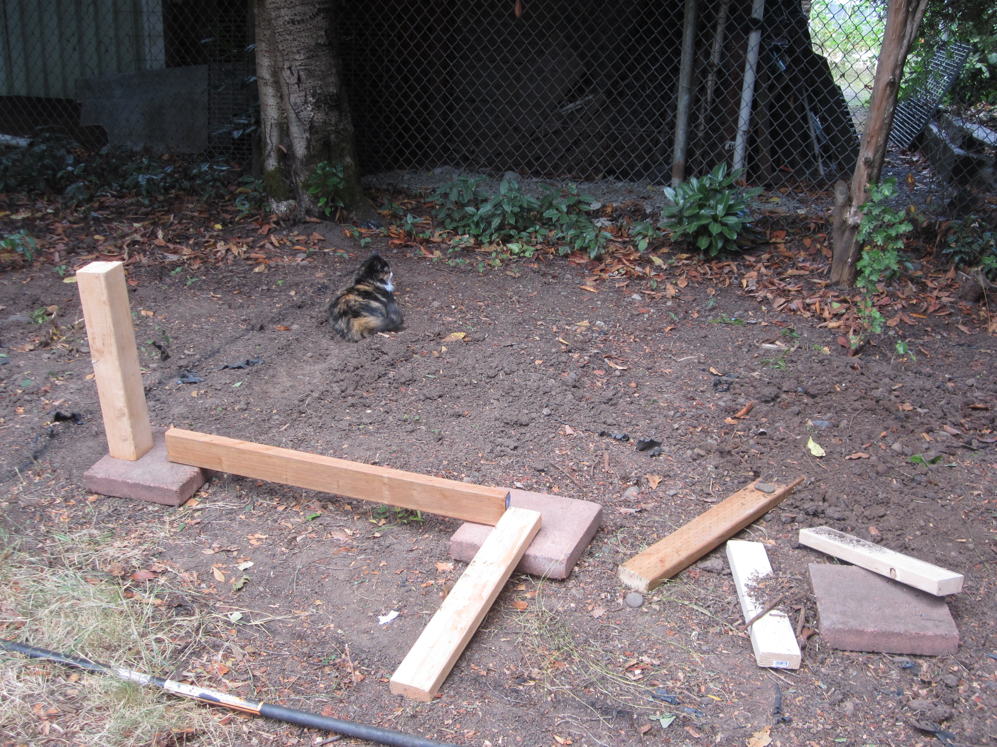 More leveling-Kitten supervision required ;)