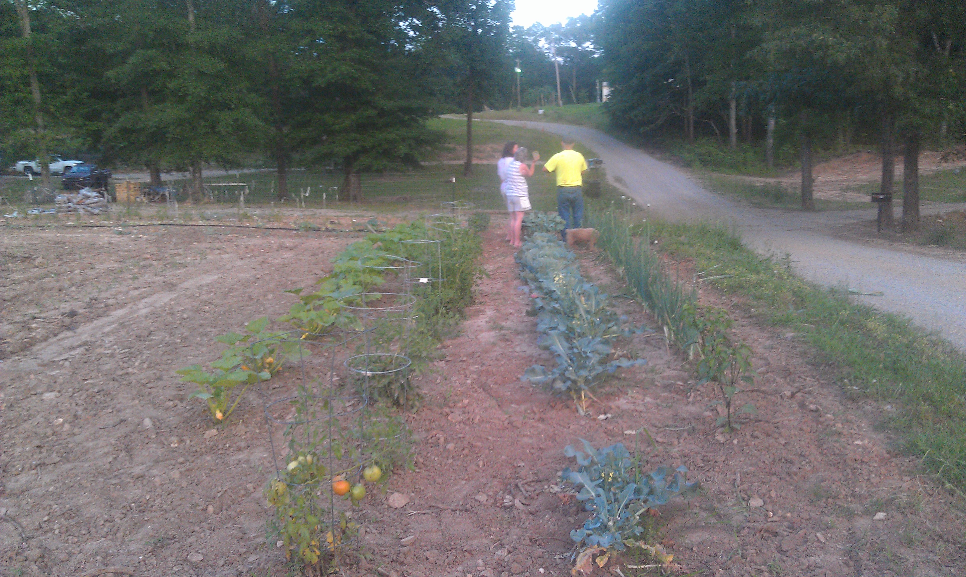 More of the garden spot with our neighbors.