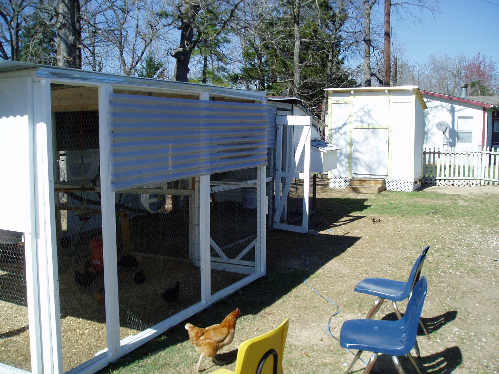 More of the same with the backyard expansion.