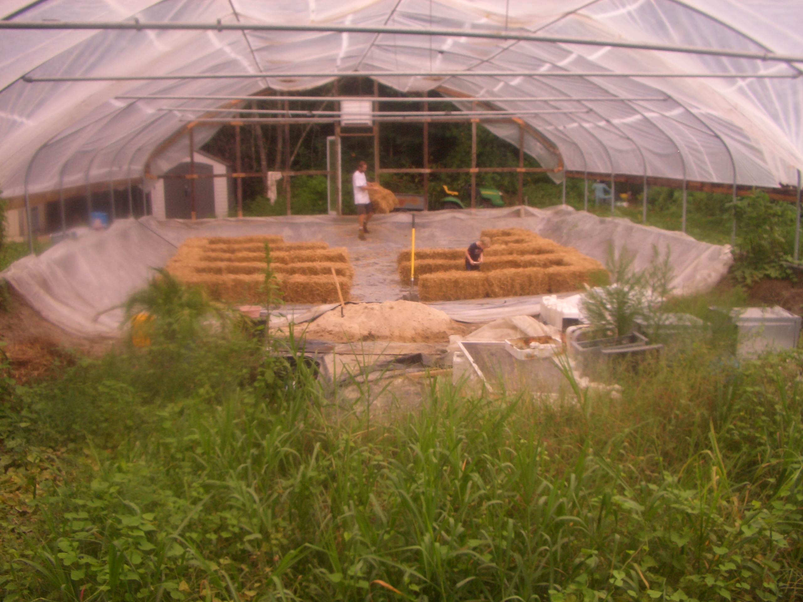 More veggies on the way. 36 wheat straw bales to plant in the green house.