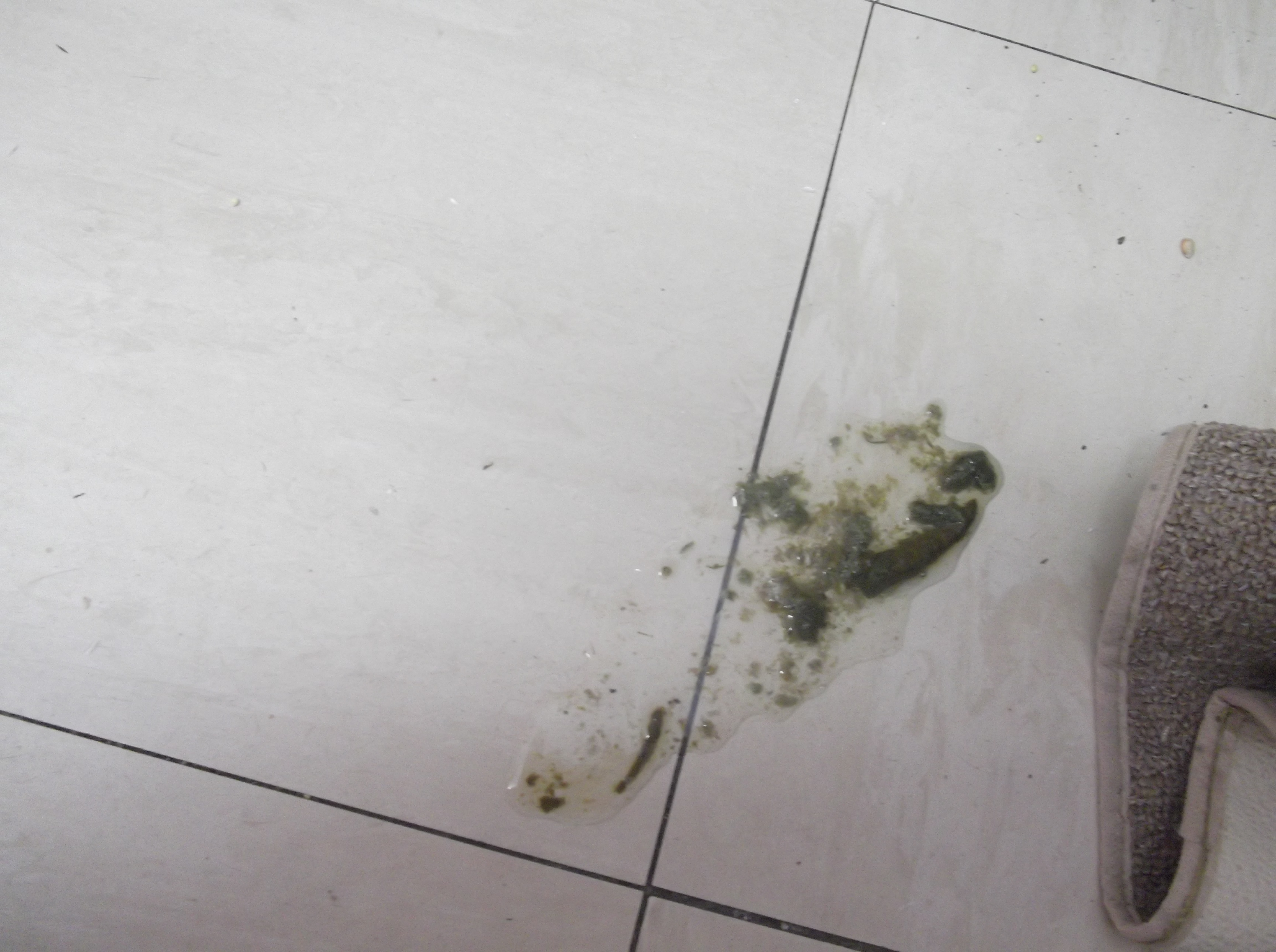 more watery poop
