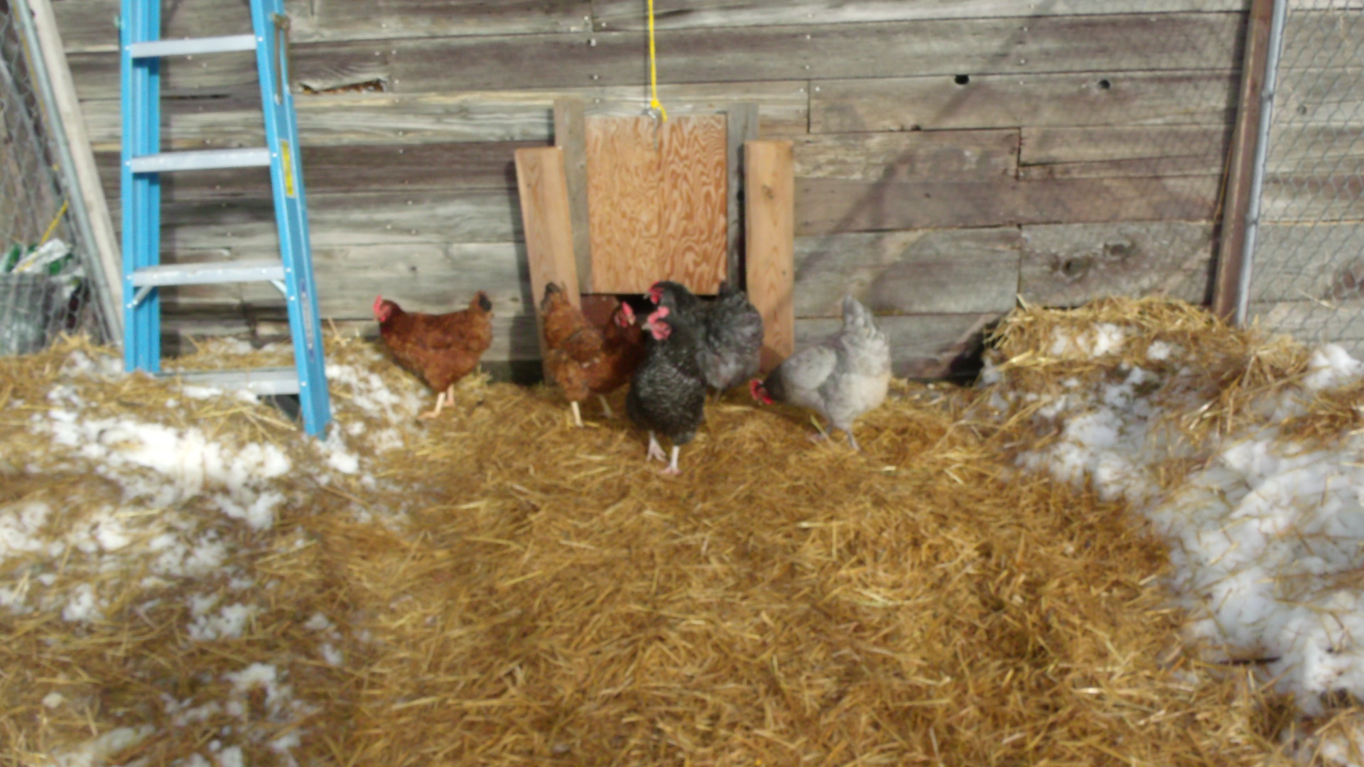 Morning time to see the sun