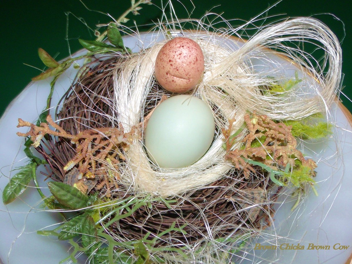 Moss Green d'Amicauna egg
