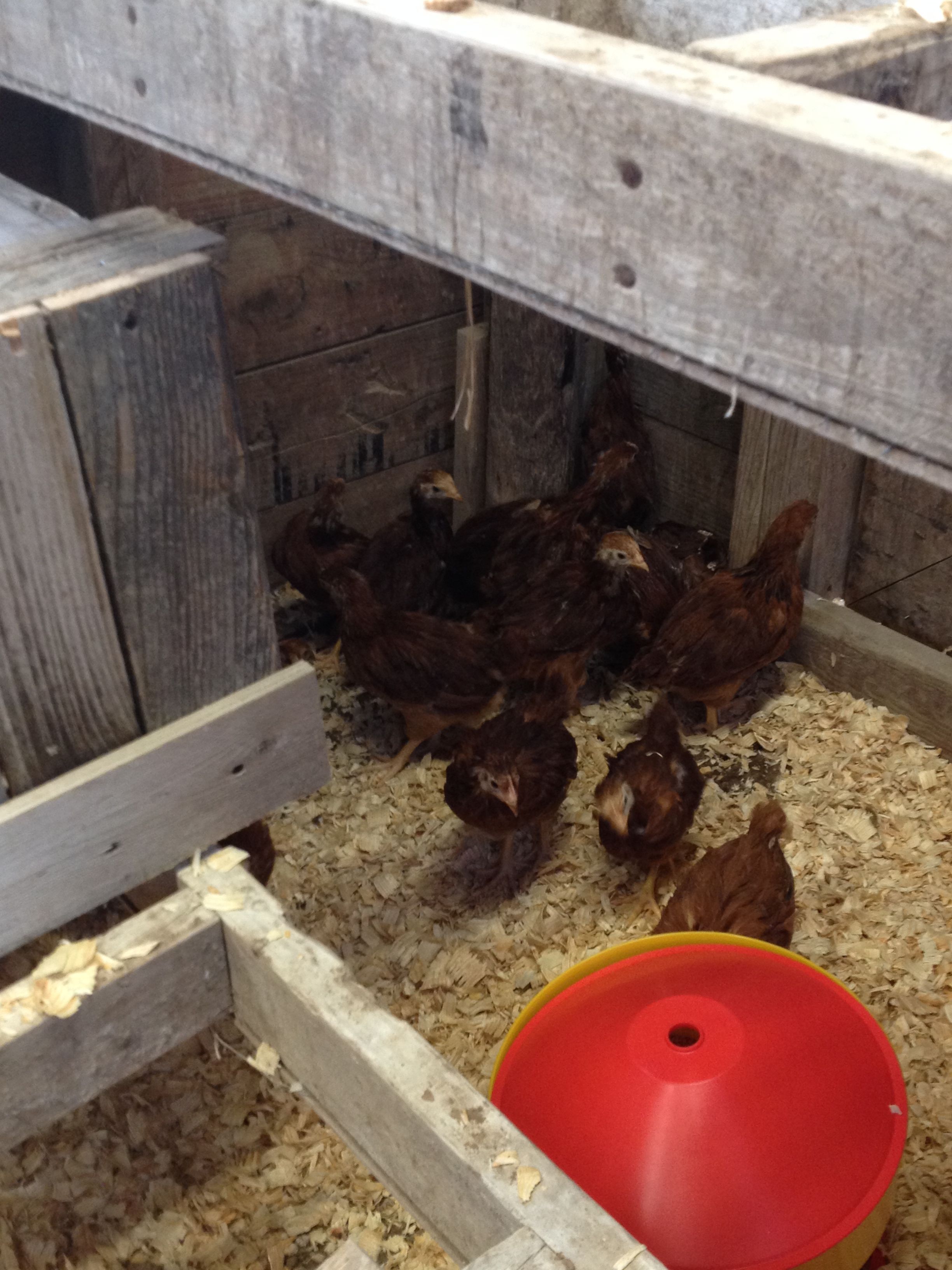 Most of the girls are huddled into one corner.