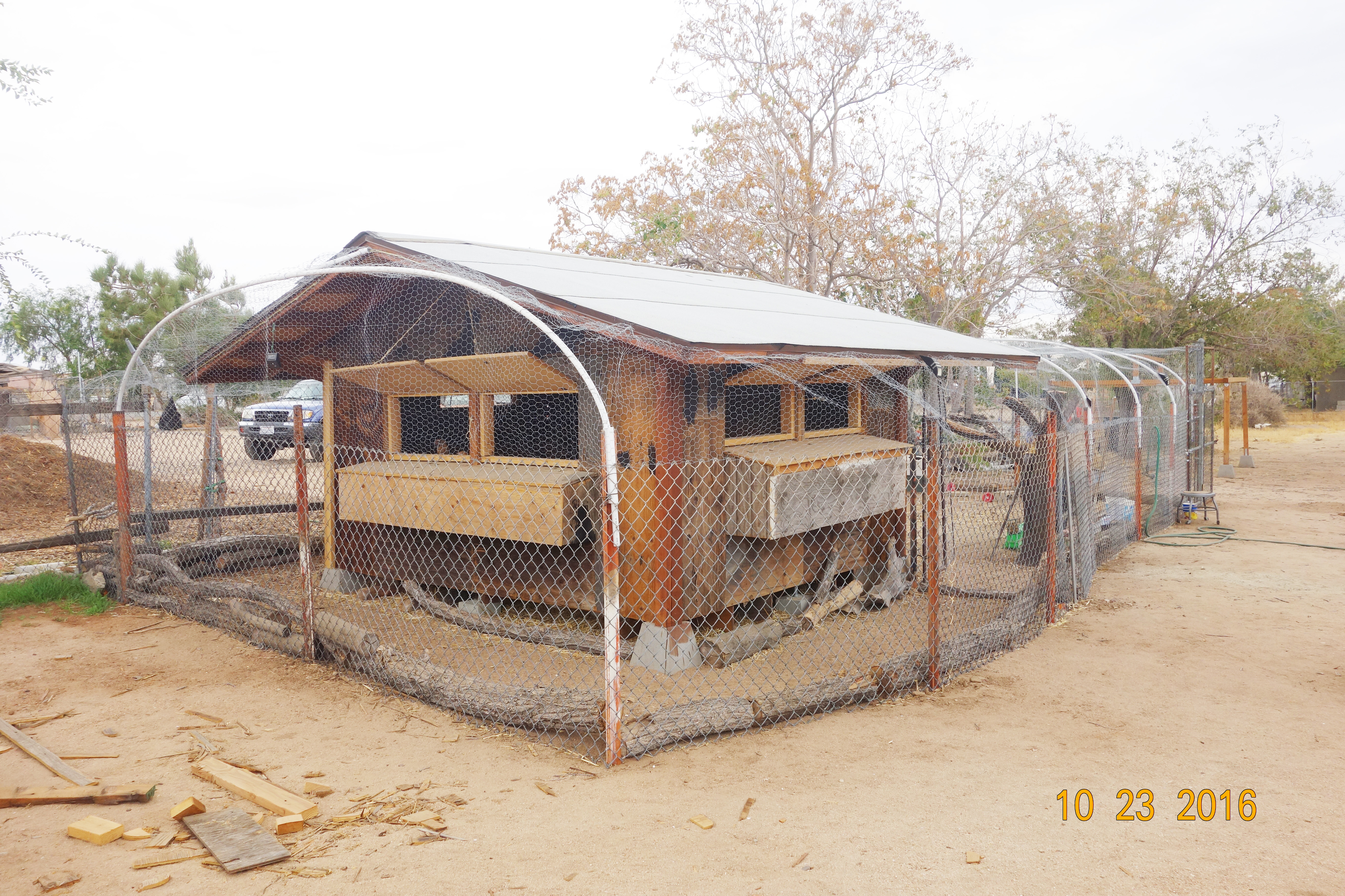 Most of the materials that I used to build my coop were salvaged from an old shed that I tore down.