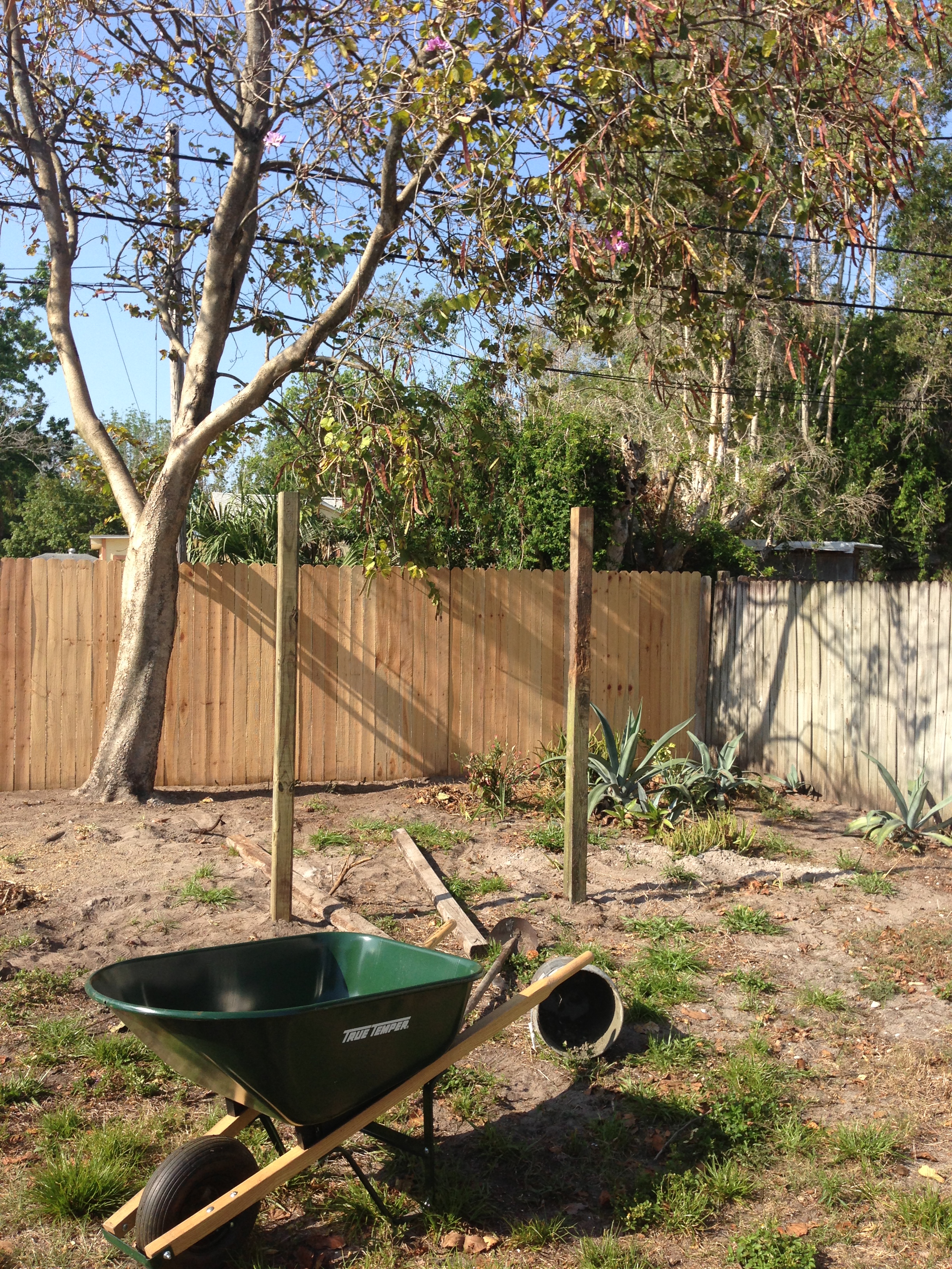 Most of the posts were from the old fence, maybe one new 4x4...
