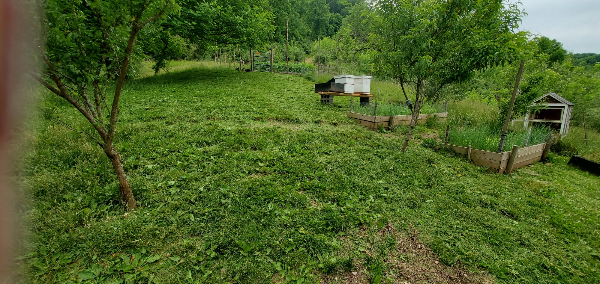 Mowing the grass on the hillsite
