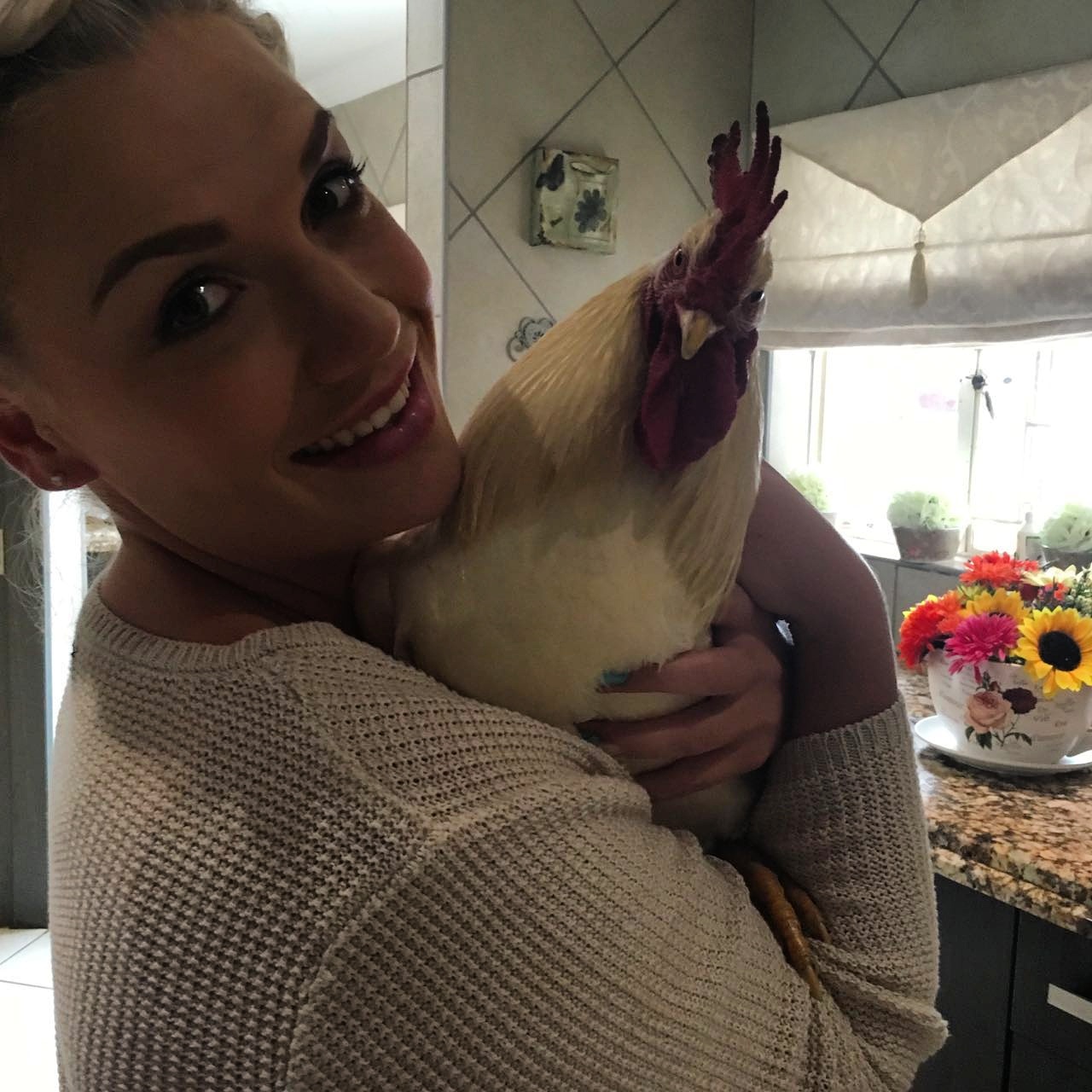 Mr. Chicken