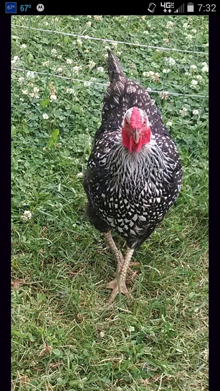 Ms. Mary Poppins looking so prim and proper.