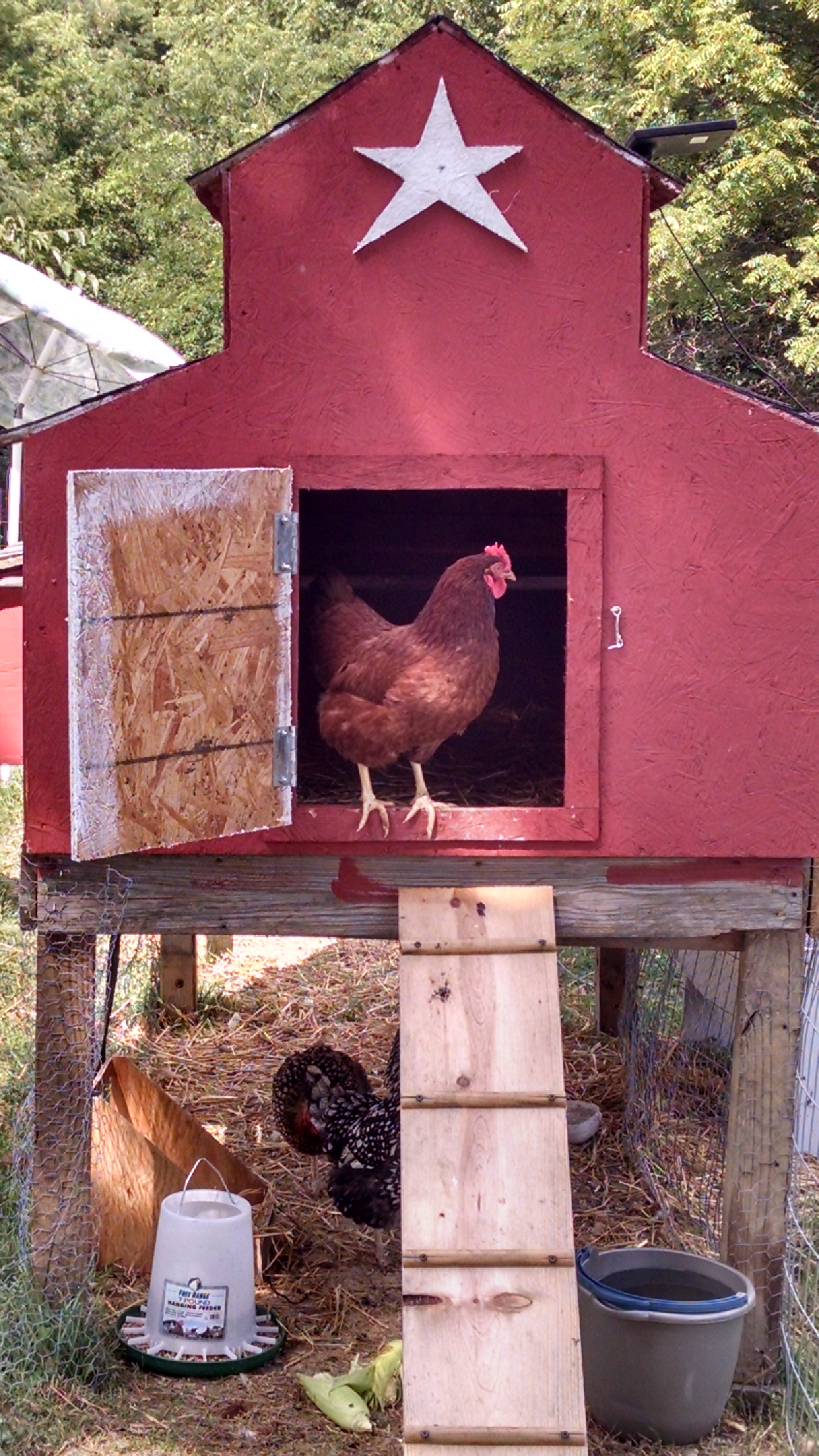 Ms. Patsy Fine waking up to a beautiful morning.