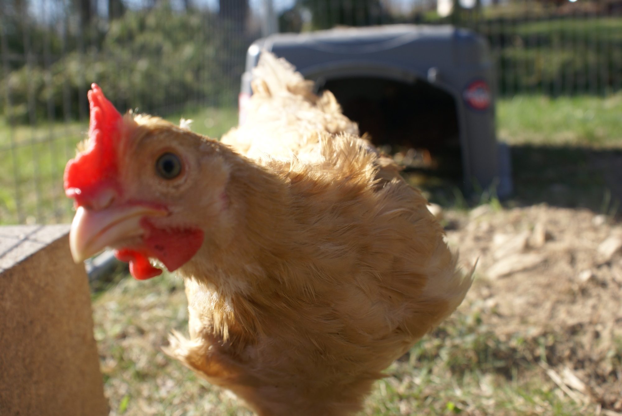 Mum says I will be handsome ..........One day!