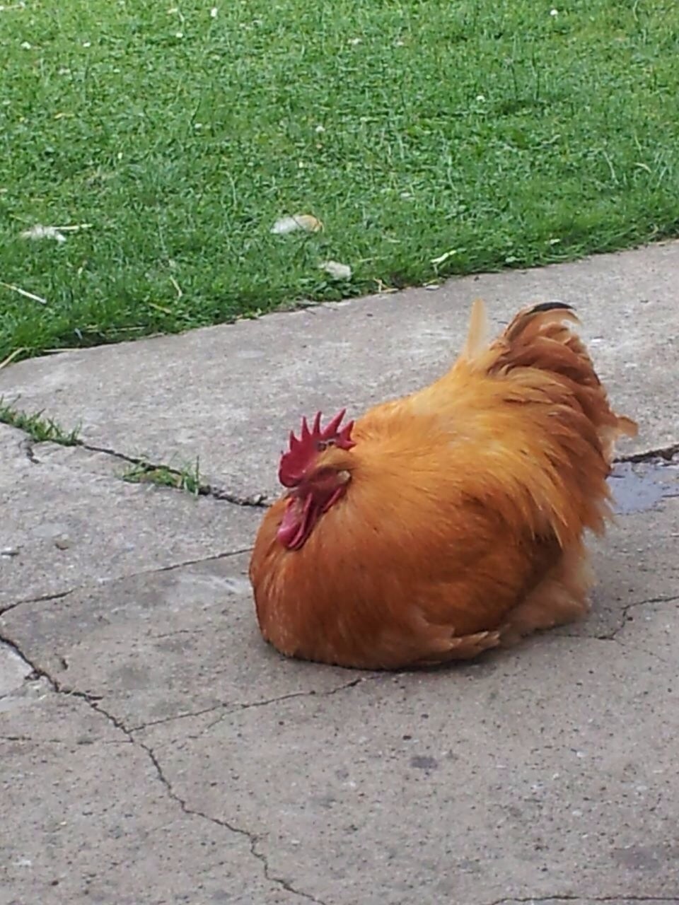 Mumble R.I.P