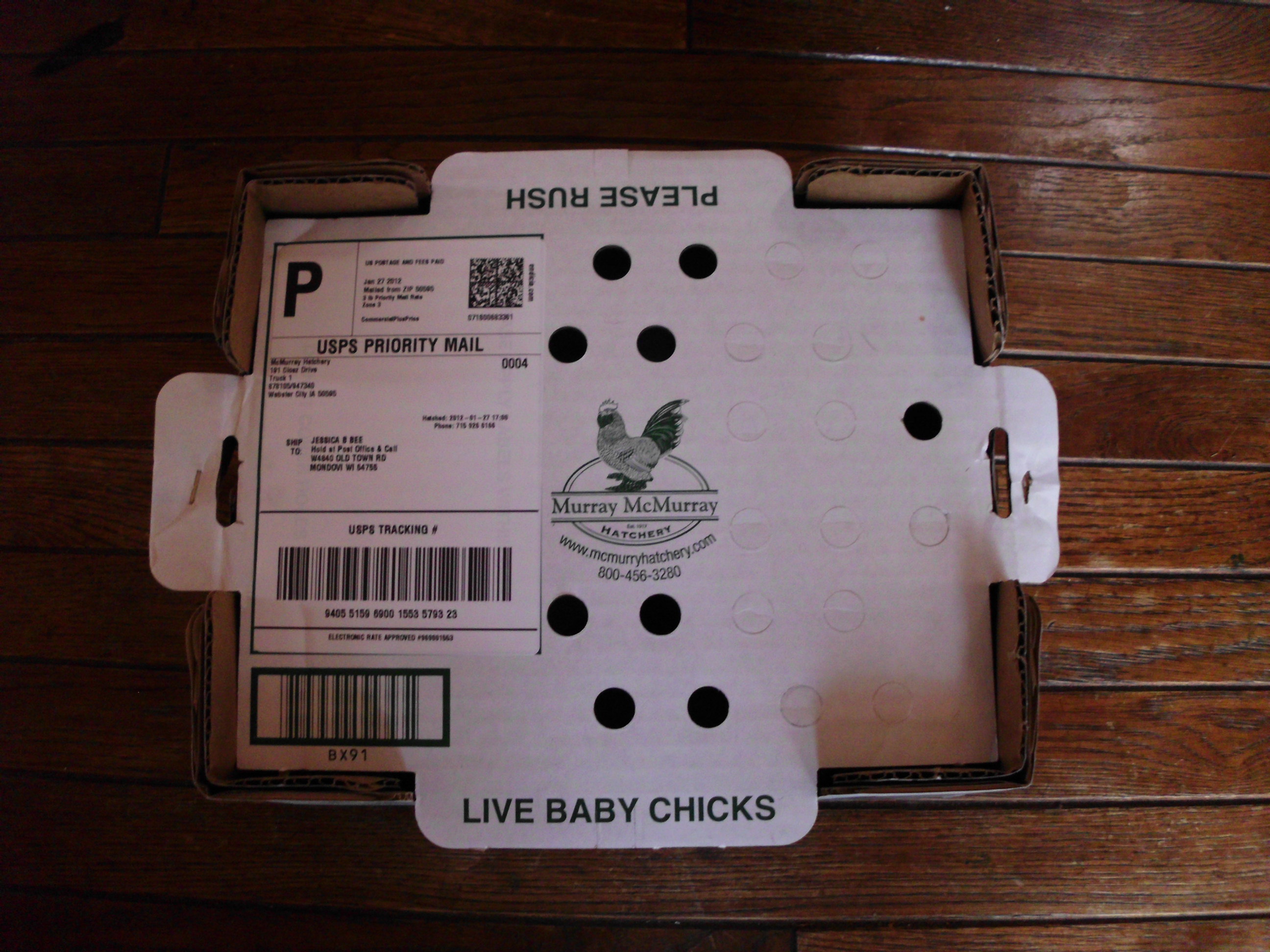 Murray Mcmurray Hatchery box.