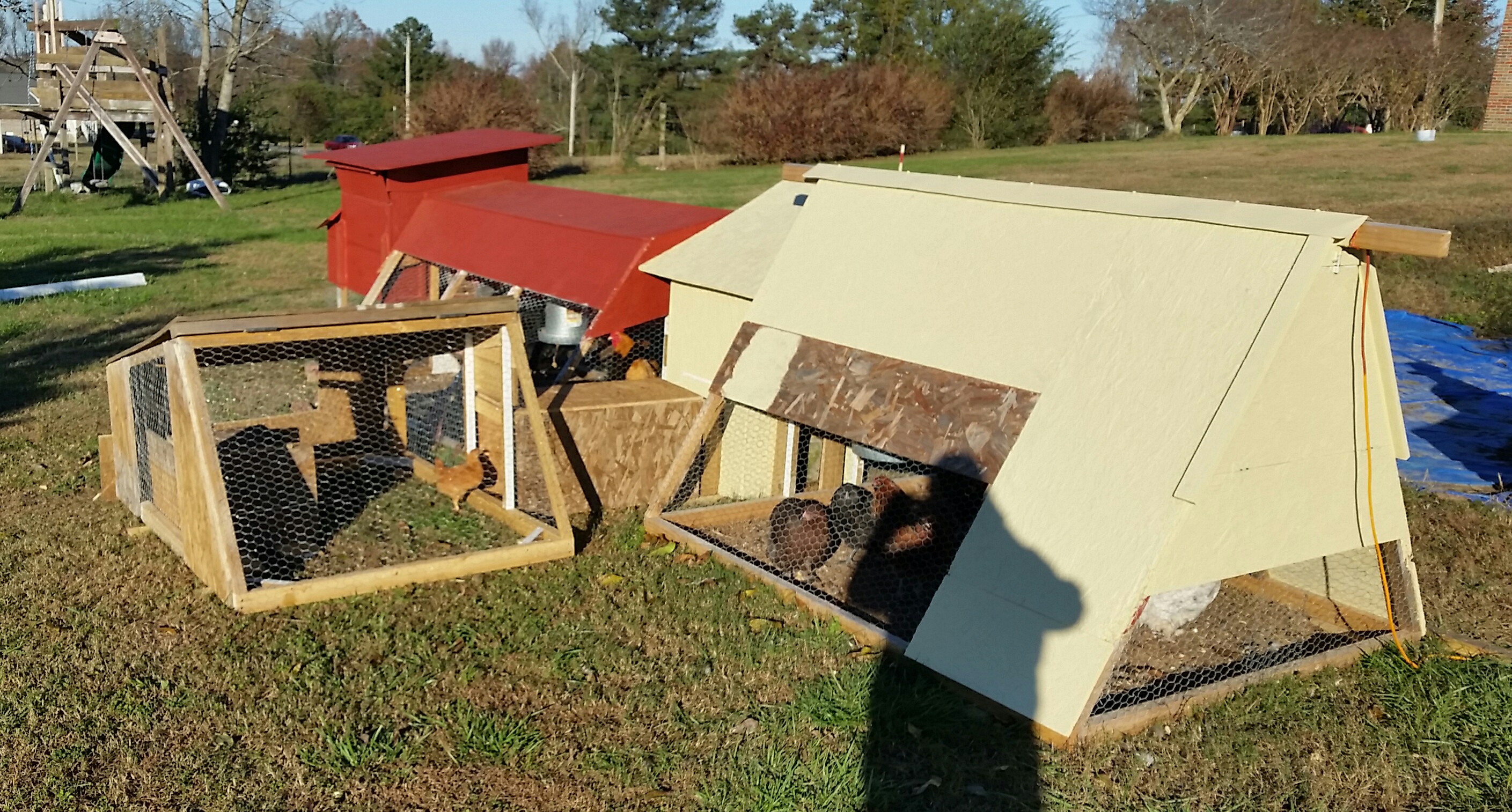 My 3 Coops with the water box