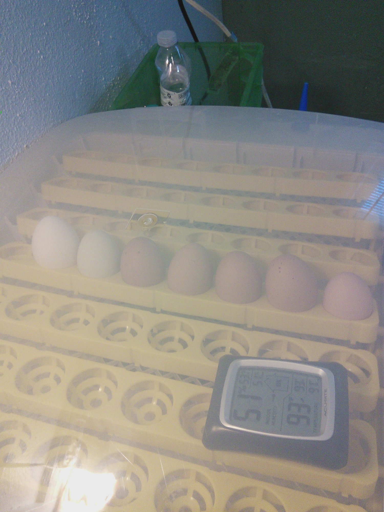 My 4th Batch