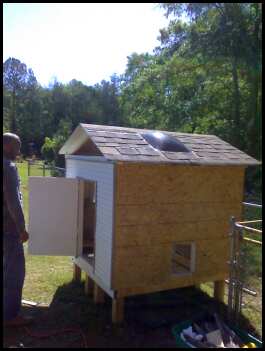 My 5' x 5' x 4' Coop 
Most materials were repourposed. 
After all of the new materials and birds we are in for about $130.00