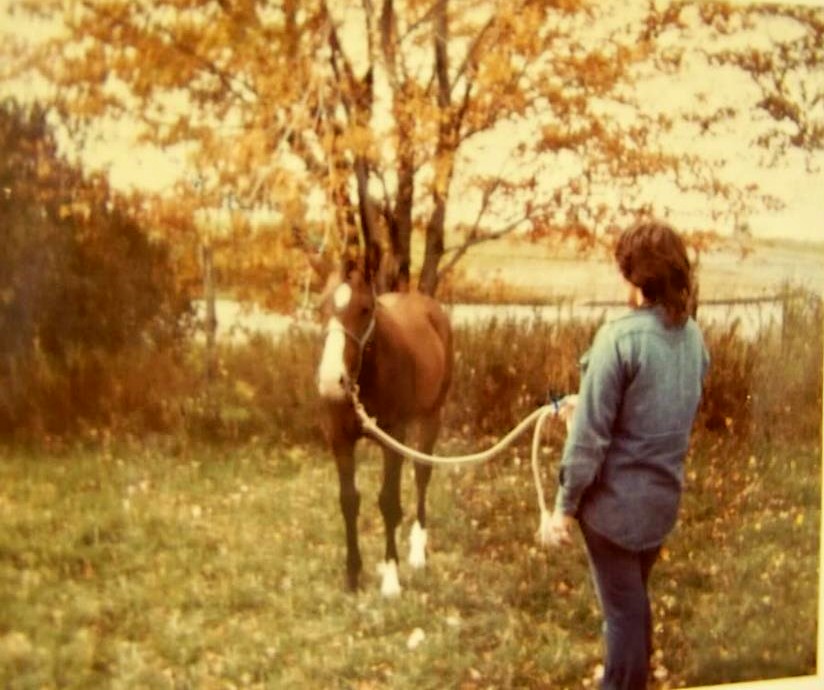 my April of  Secretariat blood lines  at  the TB  hunt club  mare &   foal show , April  at 7 months old ,& much younger then all the other male  entries  & she  won  the  blue  ribbon at  the  hunt  club  in  CT. .!