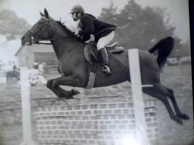 my  Arabian  ACABA at 12 years in  our hunter jumper show that  we had on our 350 acre  farm every year in  CT.  Acaba   lived to be 42 years old in perfect health, she never had a gray hair  & kept a perfect top line all her life..!  she had one foal, named  Yamen  when she was 8 or 9. when bred  to a world famous  Arabian  stallion , I  have pictures of them both mother  & son  some were..? and will post them when i find  them .