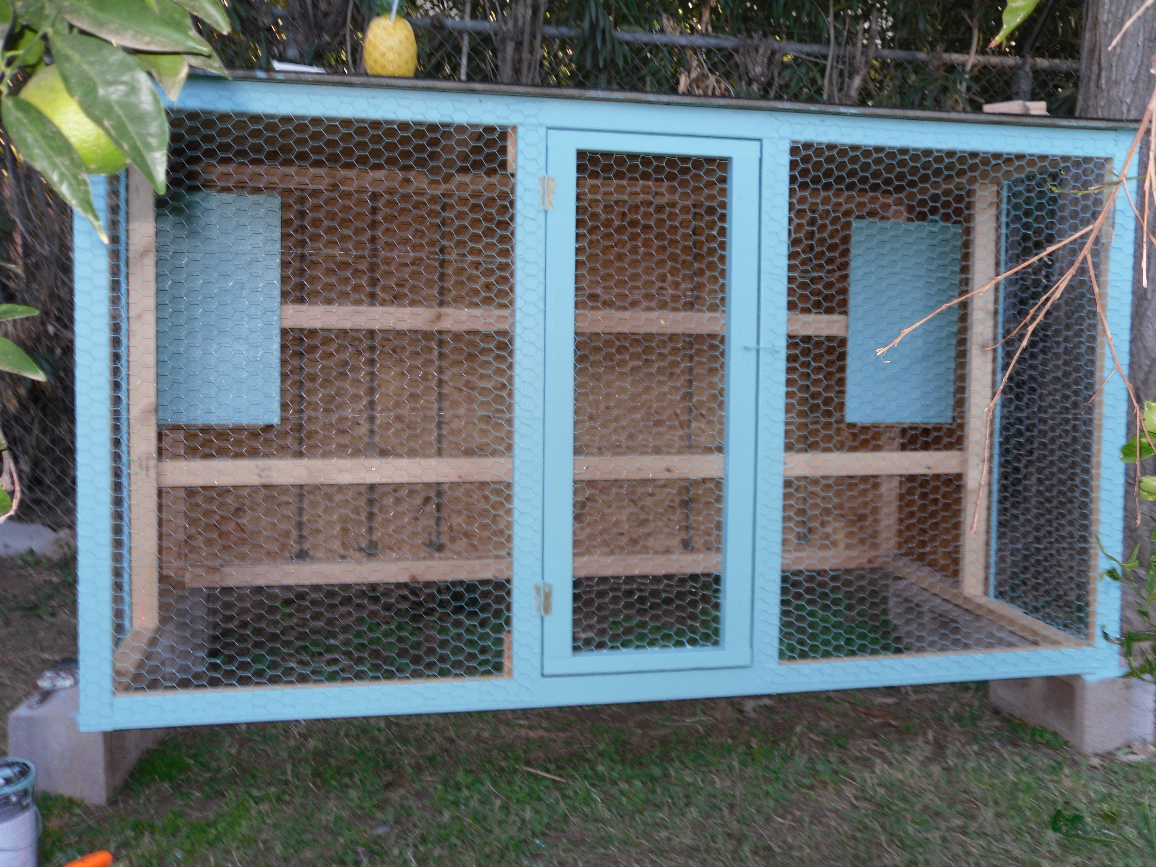 My awesome coop!
