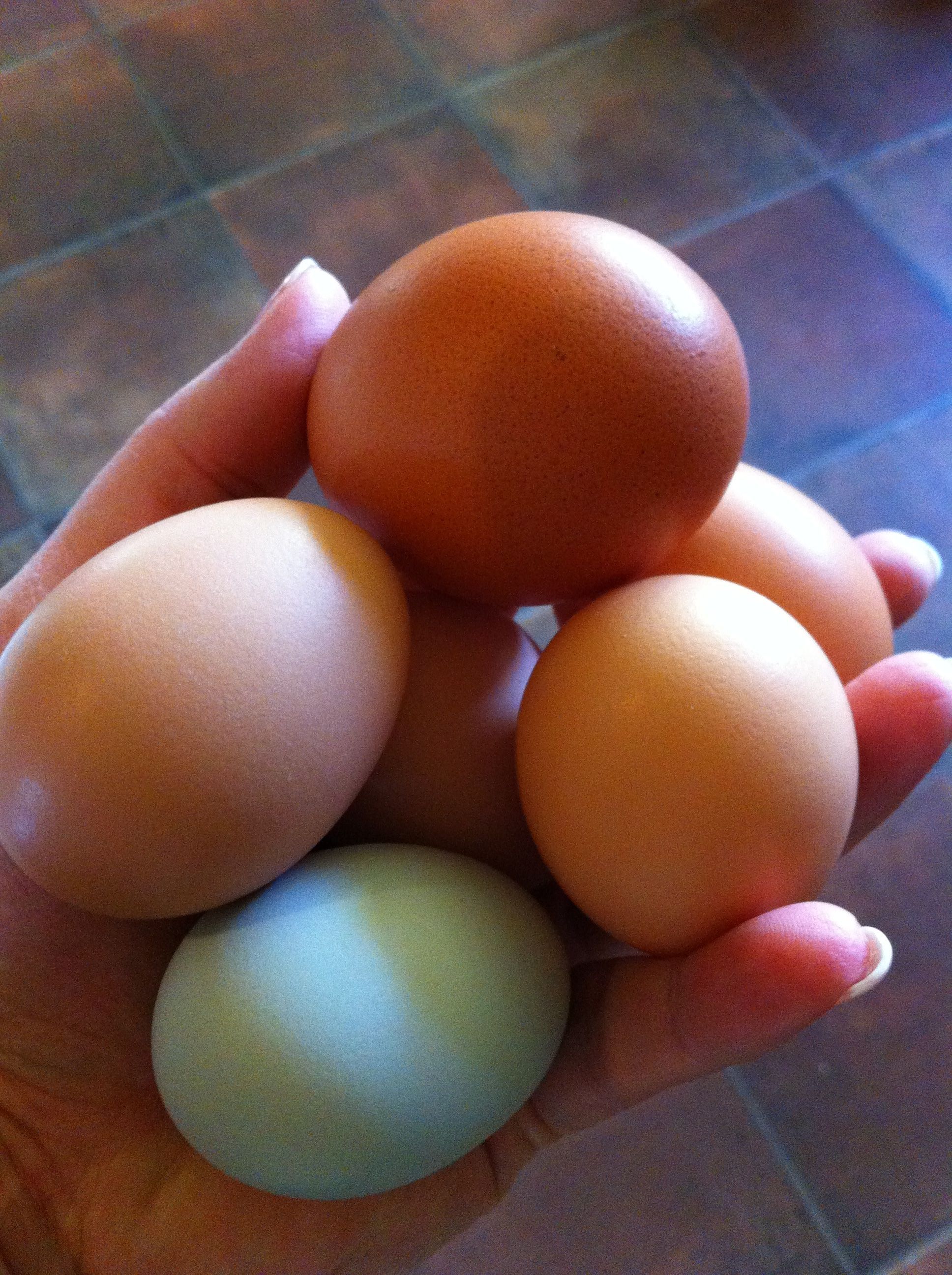 My beautiful reward!!