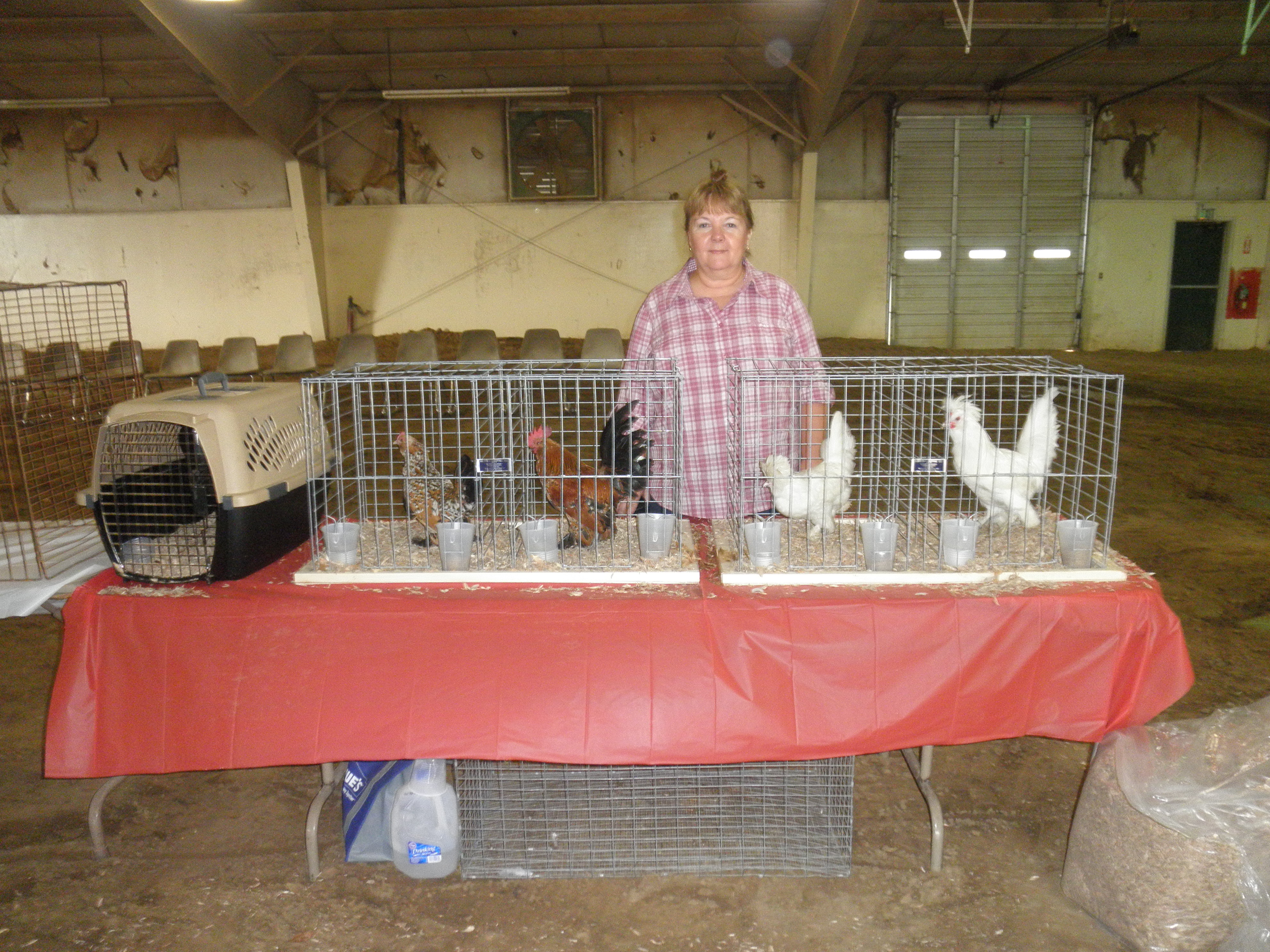 My birds, just getting set-up
