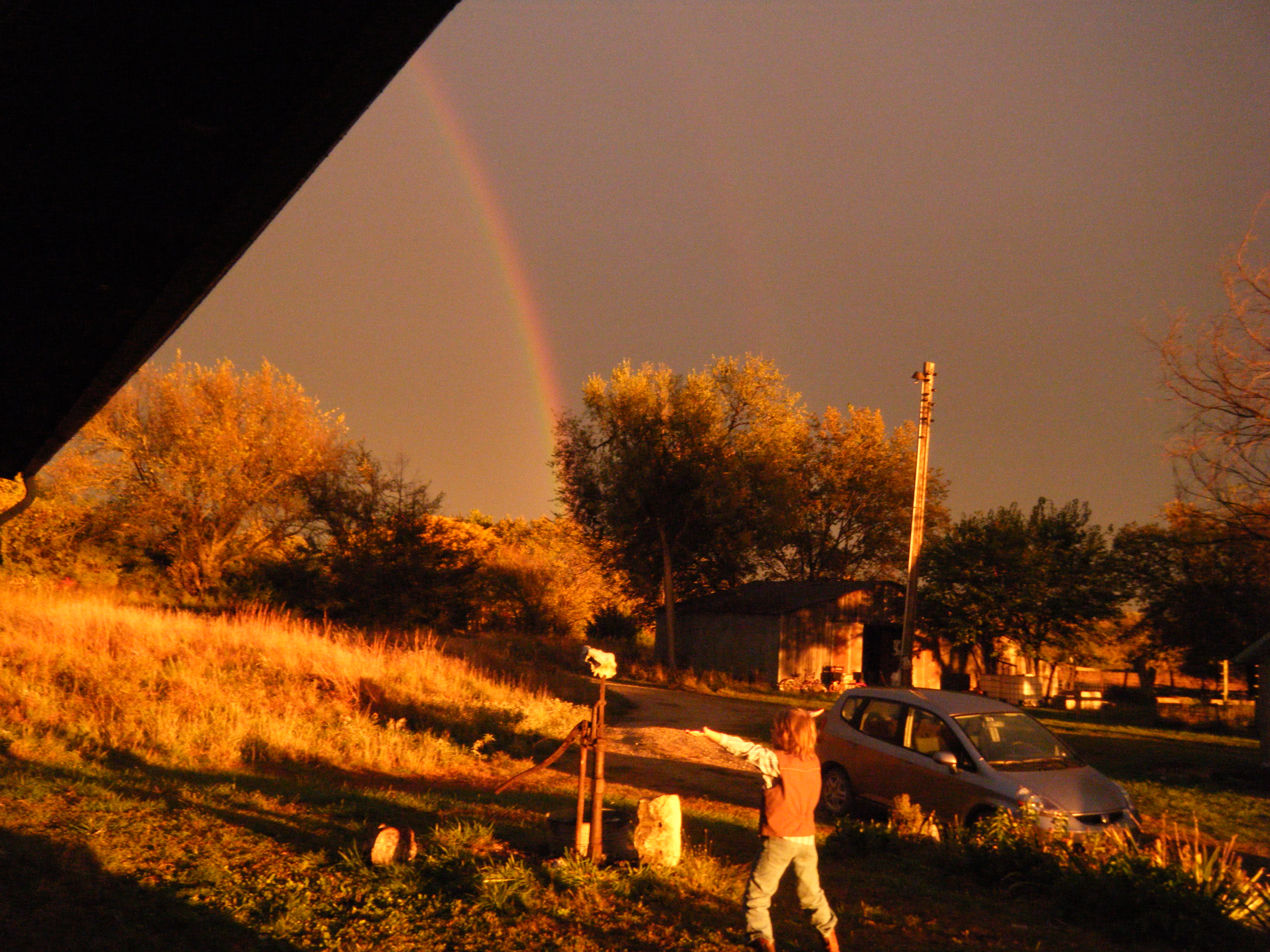 My bro after the rainstorm.....