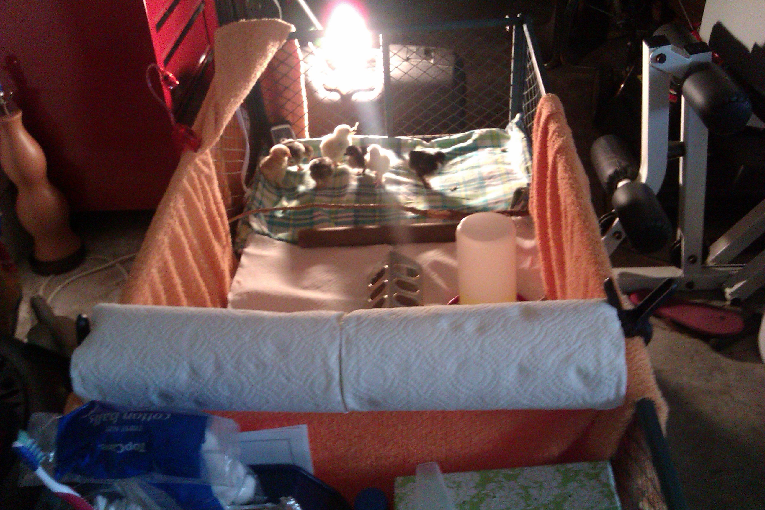 My brooder is a rolling lawn cart.  I live in Florida, and my garage stays in the mid to high 80s, so it just takes a heating pad., and a 120 watt light bulb on the outside to maintain 95 degrees.