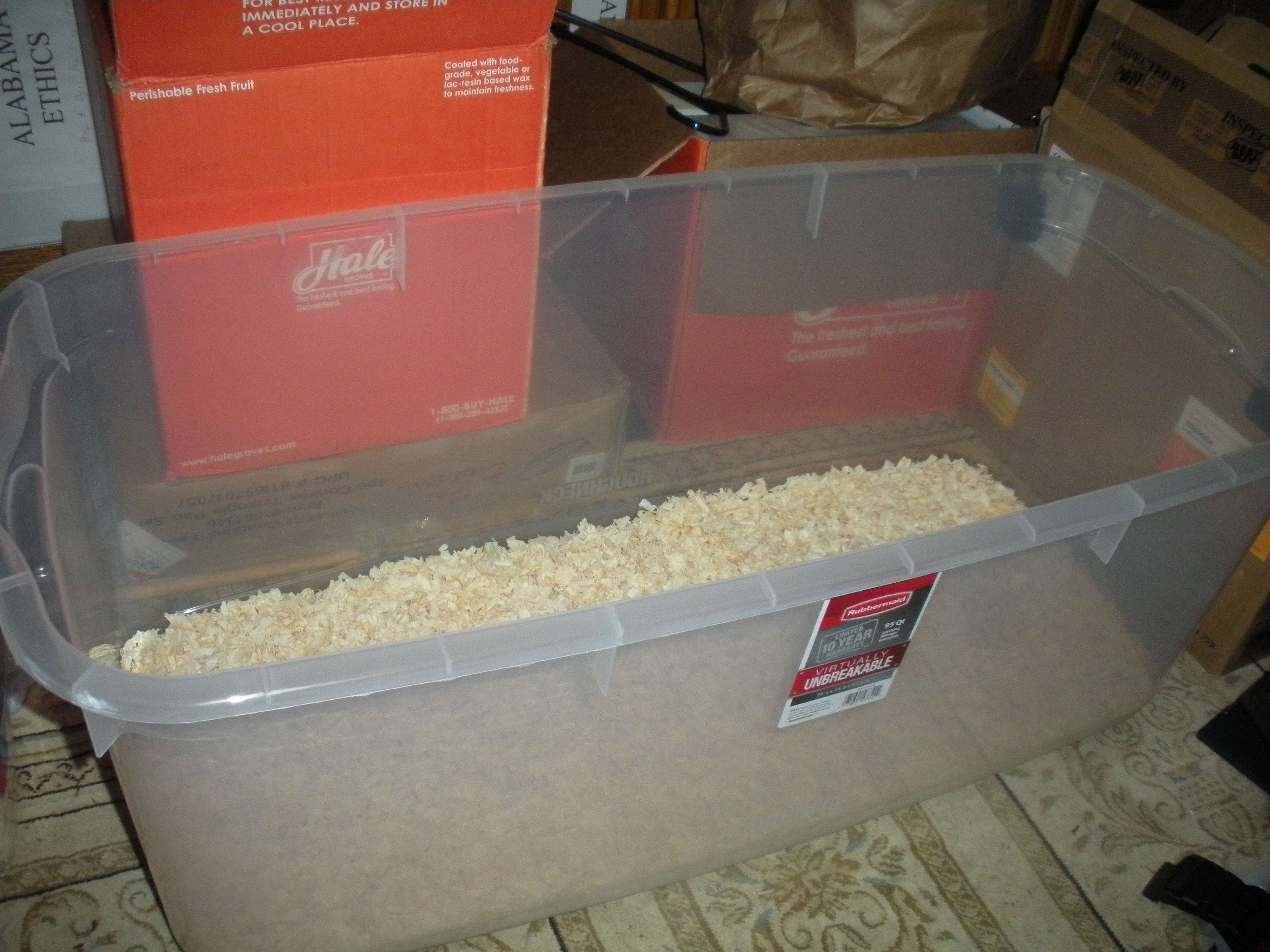 My brooder, without lid