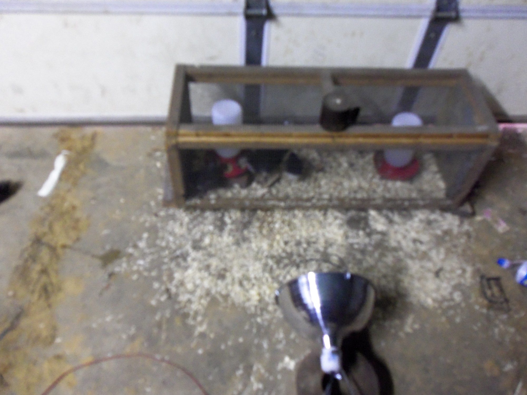 My "brooder"