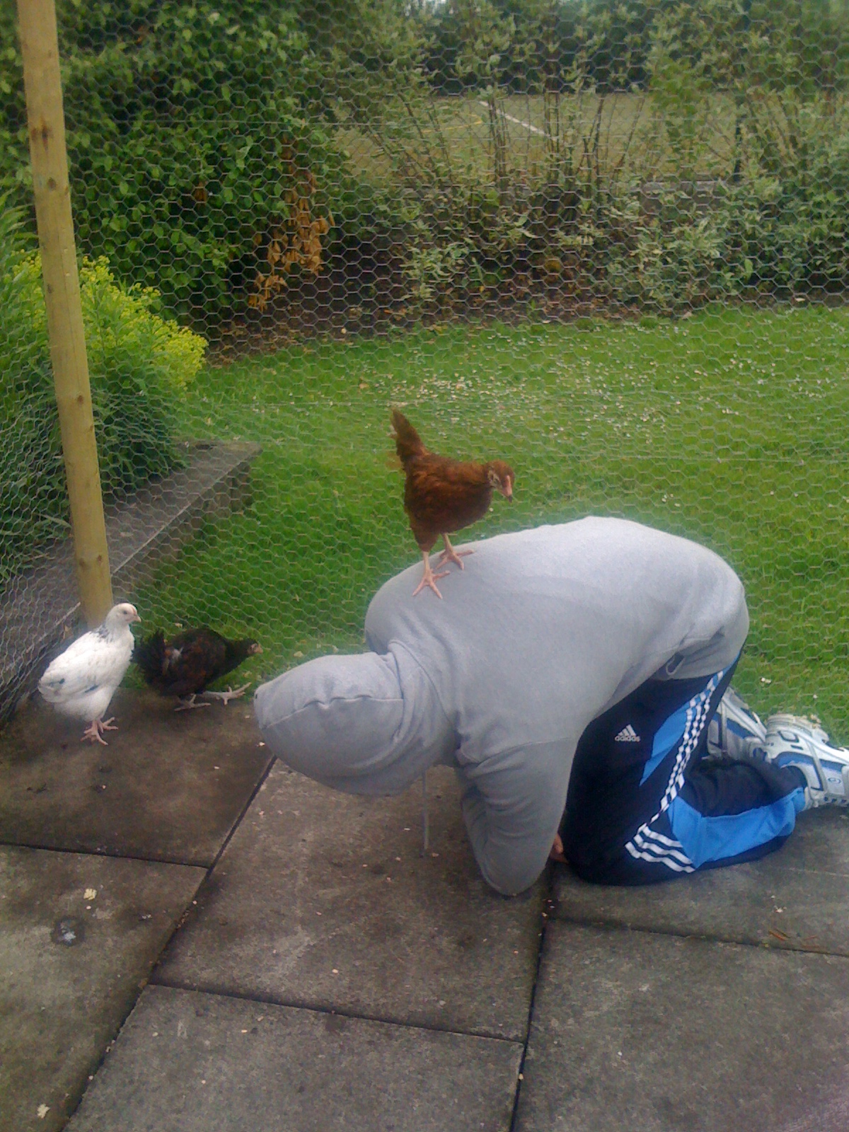 My brother giving Choco a piggy-back