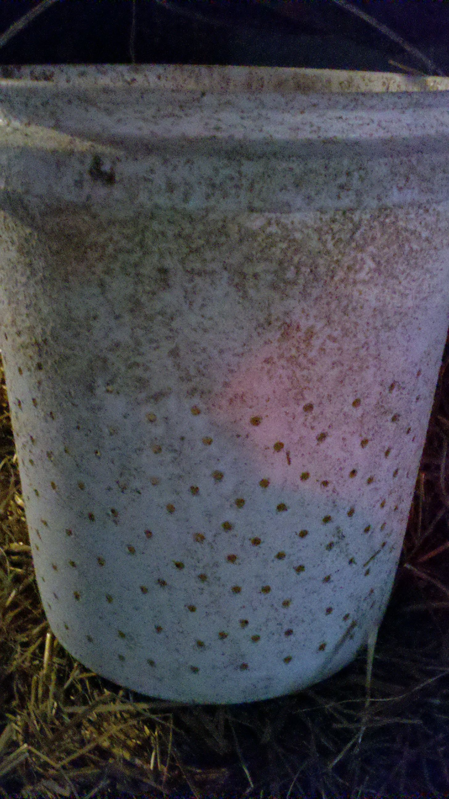 My bucket