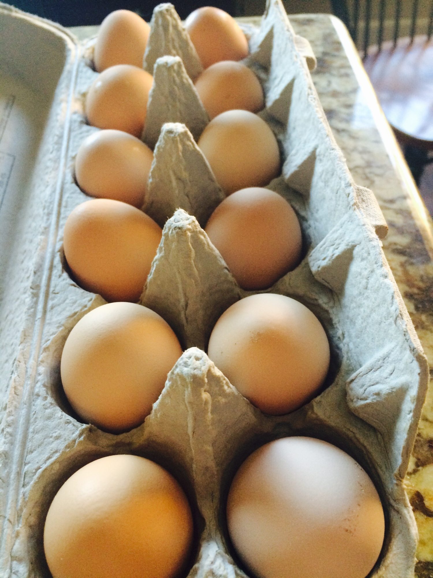 My buff Orpington's eggs