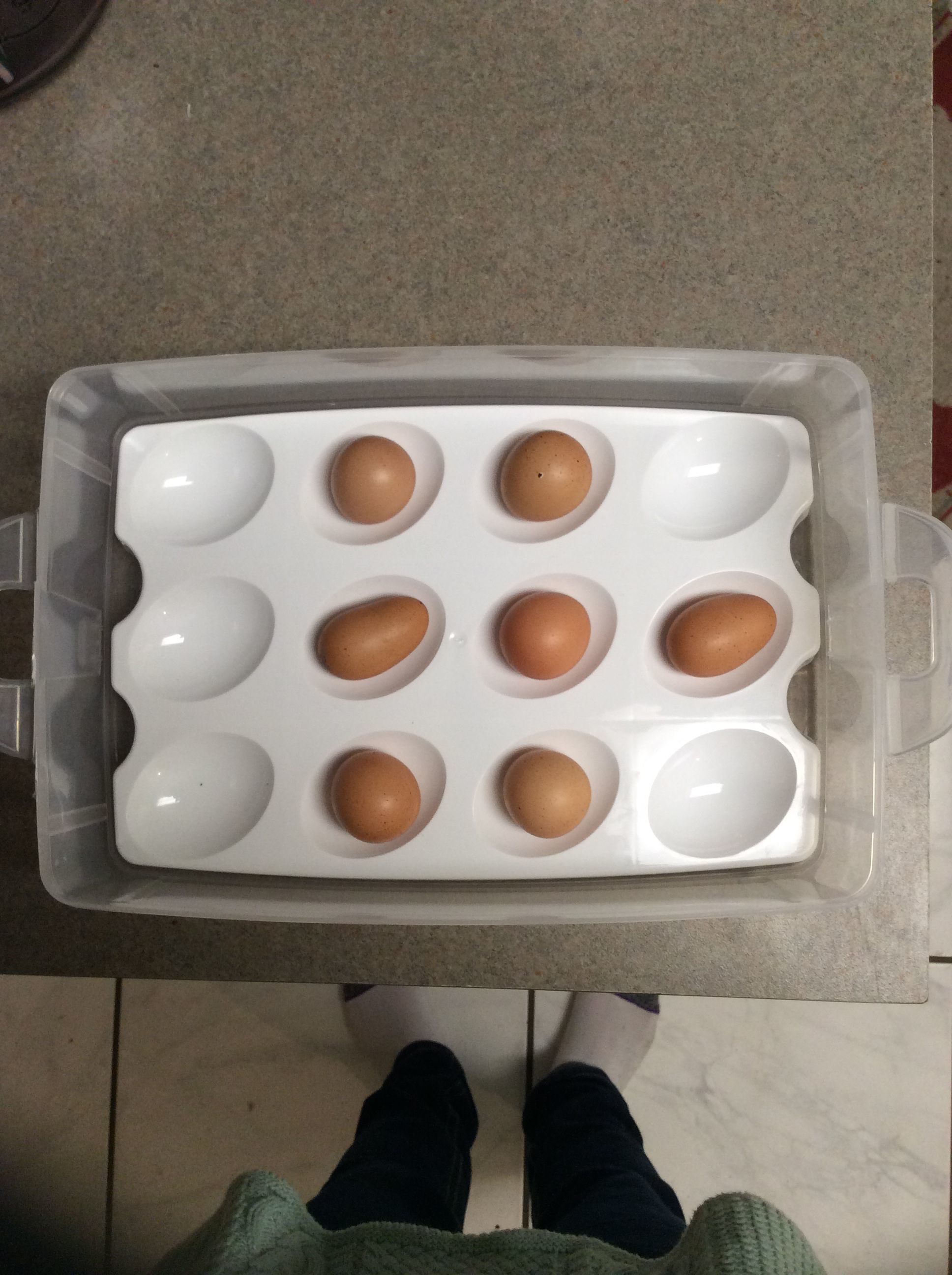 My Buff Orpingtons fairy eggs.