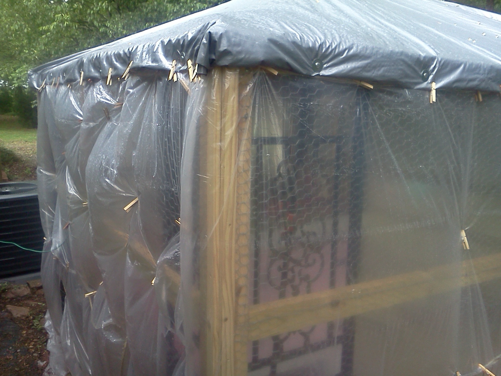 My cheap, quick solution to rain getting in the coop. Painter's drop sheets, .8 mil, pinned up with about 100 clothes pins. :) easy, cheap and quick. Will need a more solid, practical solution for the long term.