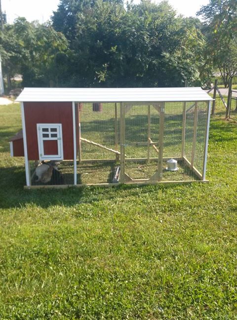 My Chicken Barn!