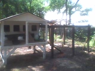 My chicken coop and yard, "N.A.S. Apopka"