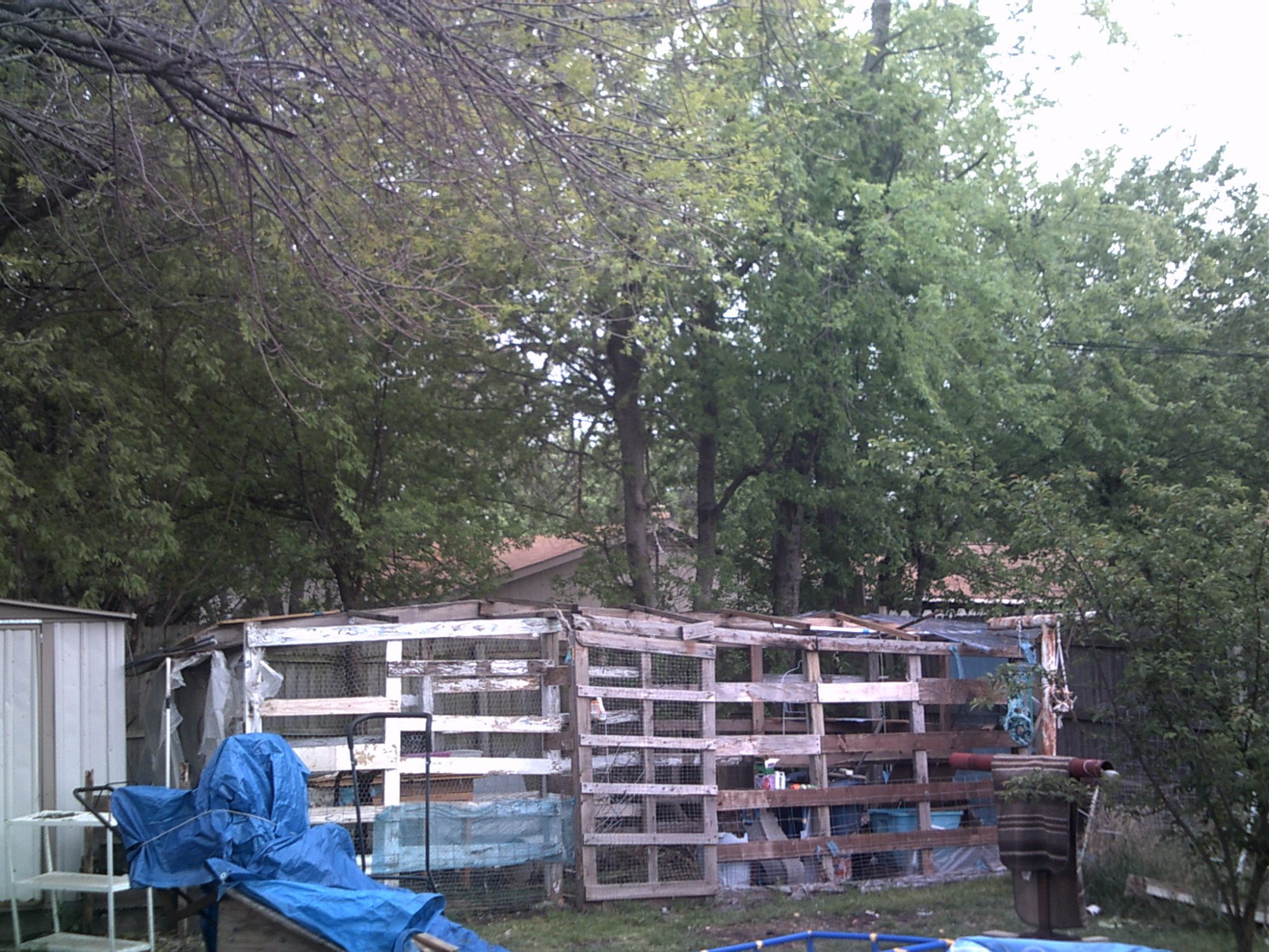 my chicken coop