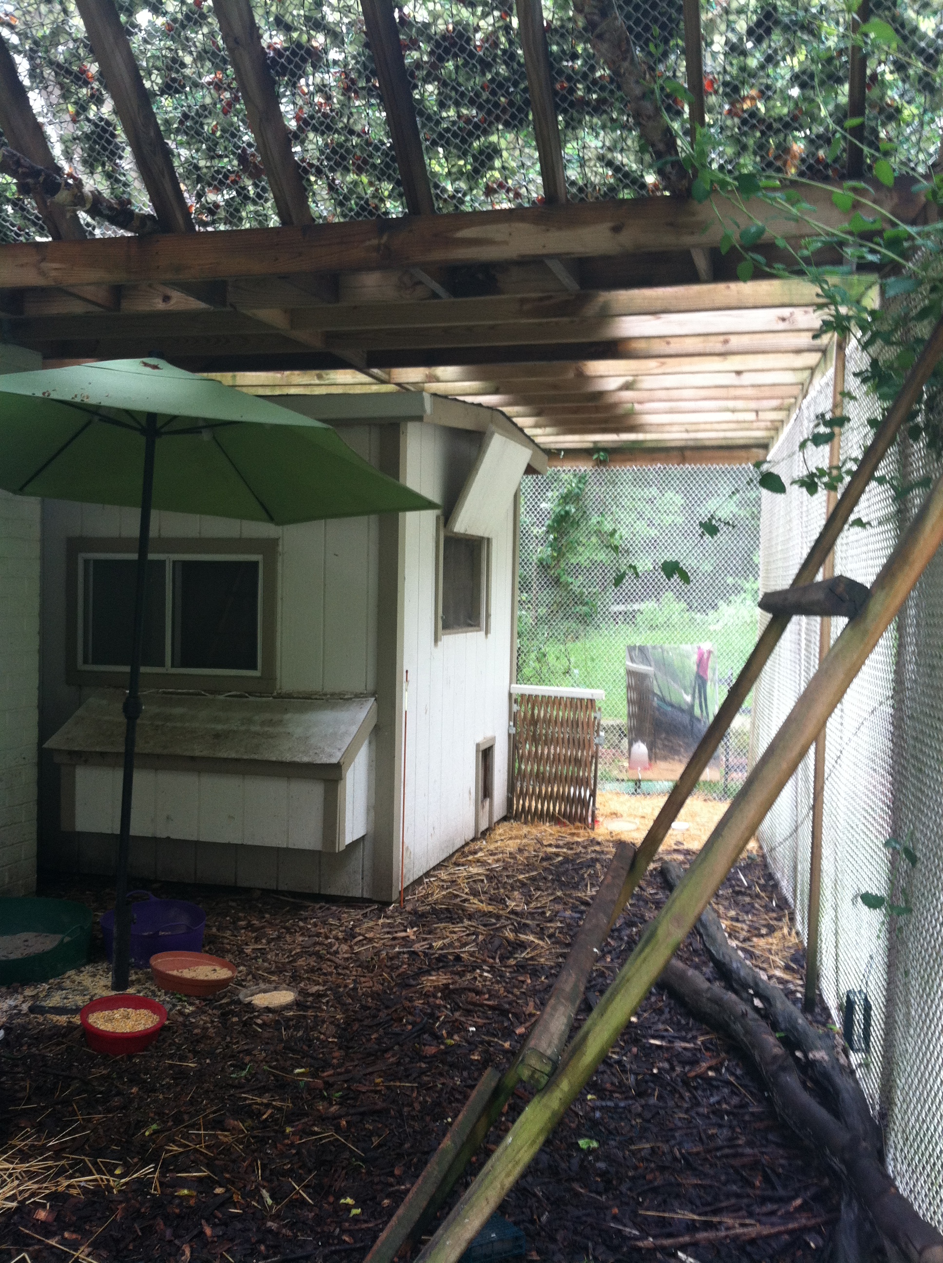 My chicken/peafowl coop.  Added patio umbrella for 2013 rainy season, to protects food bowls etc....