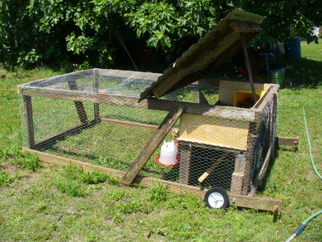 My Chicken Tractor