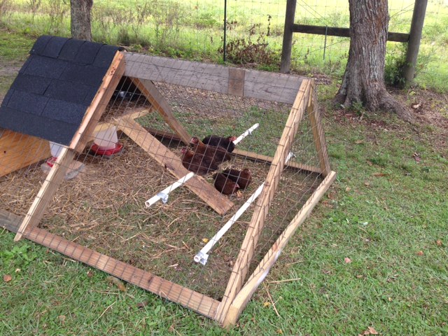 My chicken tractor