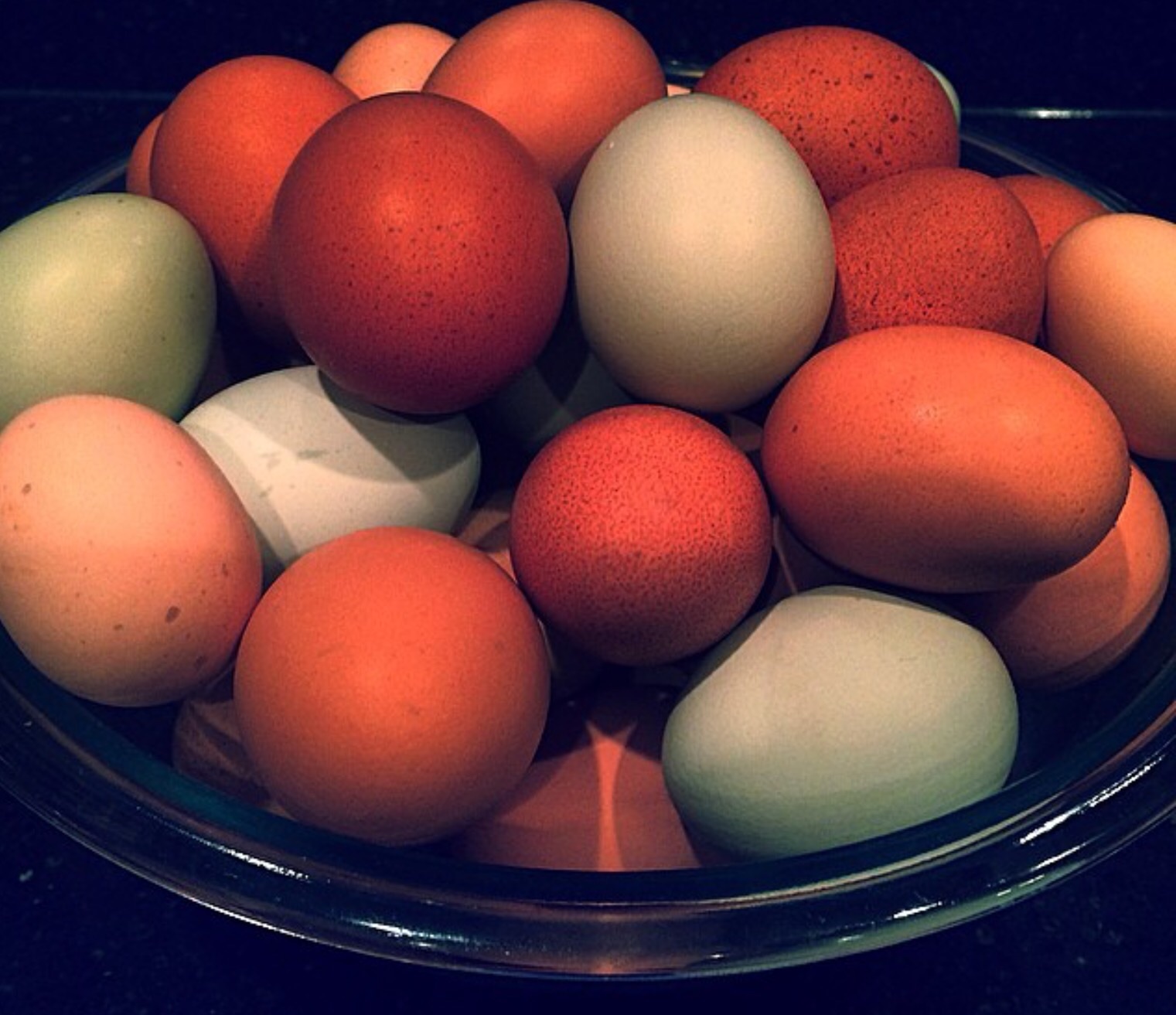My colorful eggs!  Winter 2014