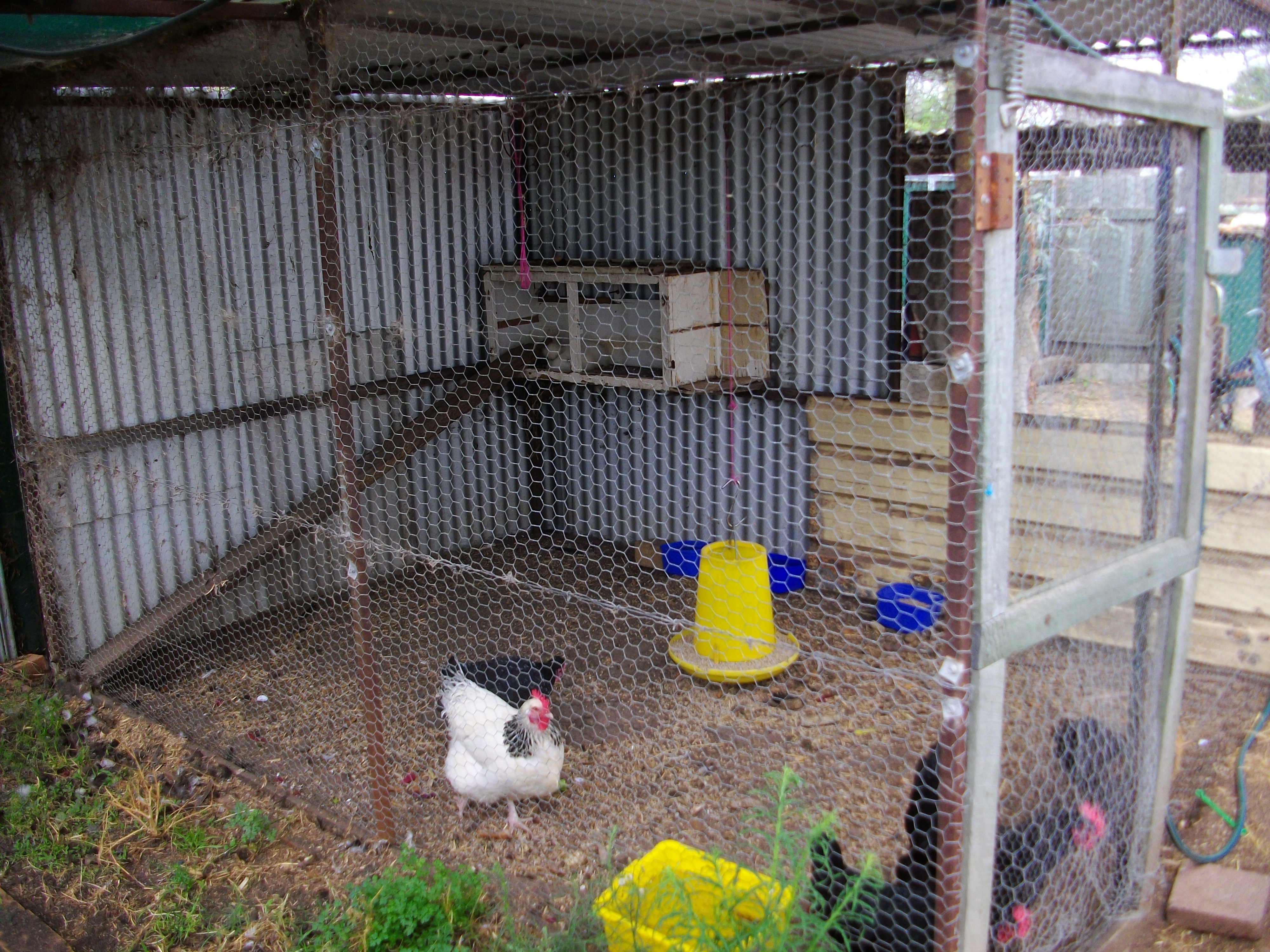 My Cook pen