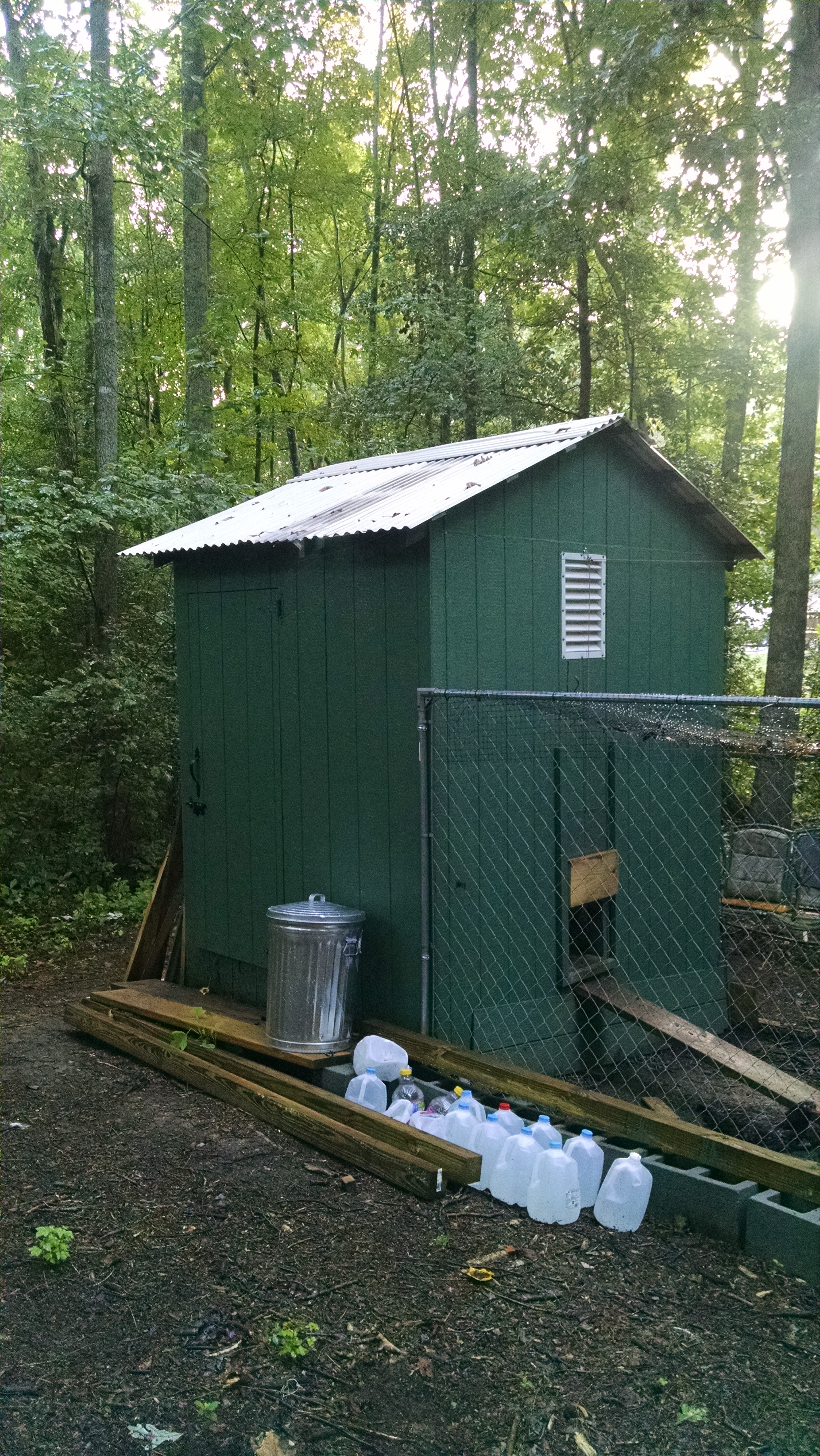 My coop 8x10x8 internal nest boxes. I have lots of room. Girls have 
30x10x6 chain link run and free range on our 6 acres.